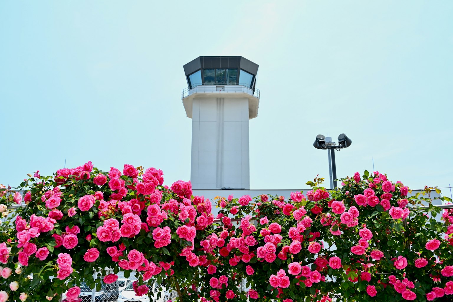 Torre di controllo dell'aeroporto circondata da fiori rosa in fiore