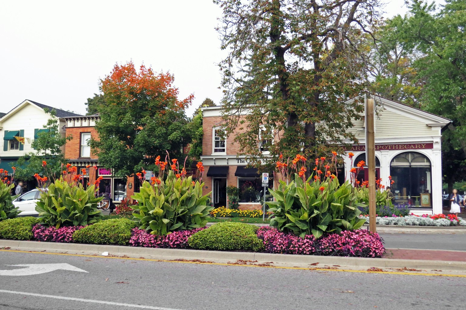 Vista di strada con fiori colorati e vegetazione con negozi e edifici residenziali
