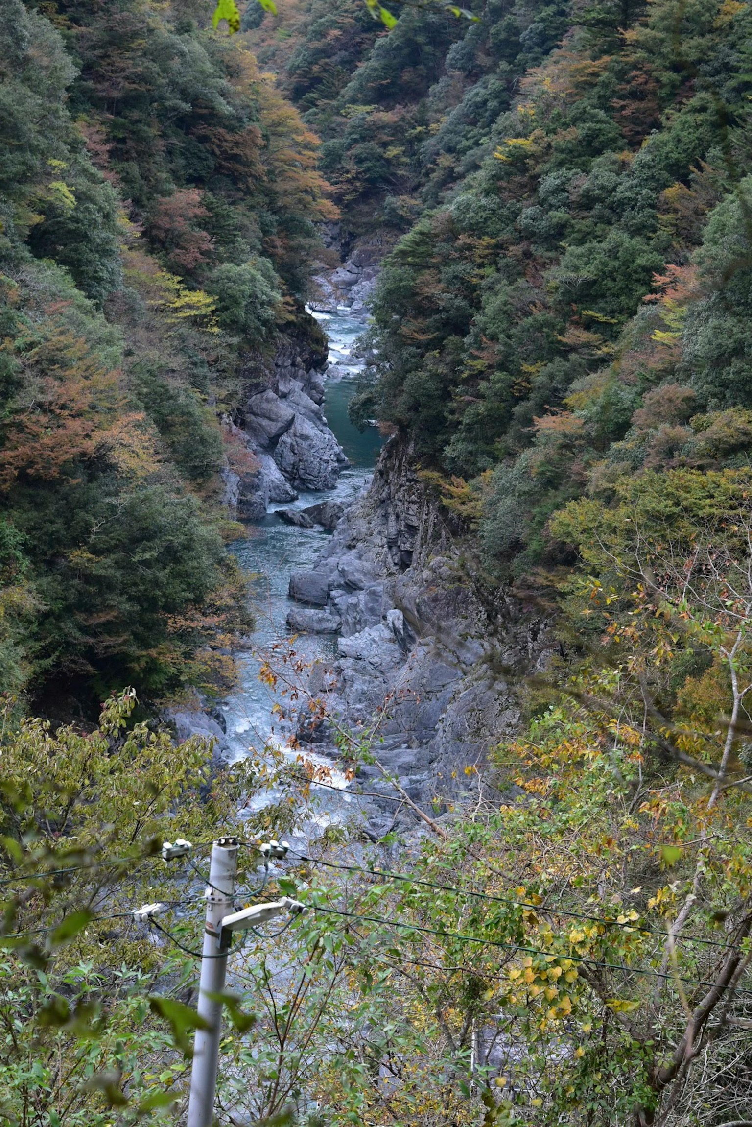 美丽的山谷景观，流动的河流被郁郁葱葱的绿树和岩石环绕