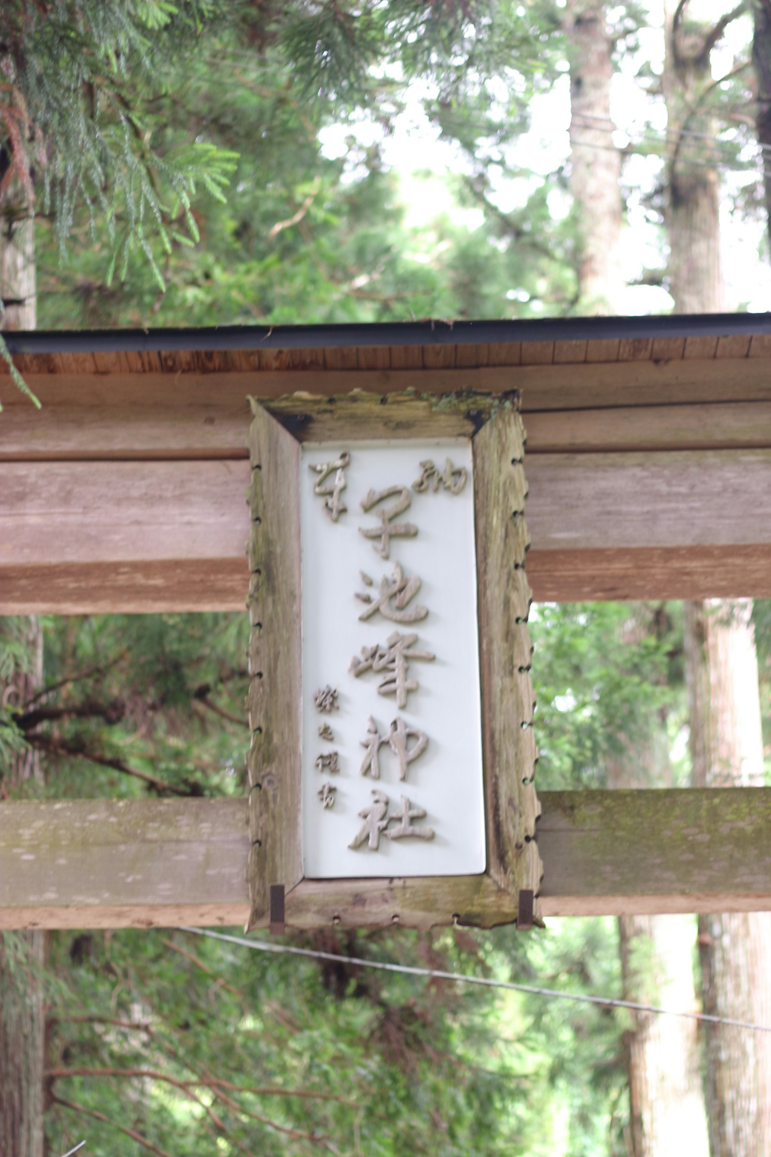 木々に囲まれた神社の鳥居の看板が見える