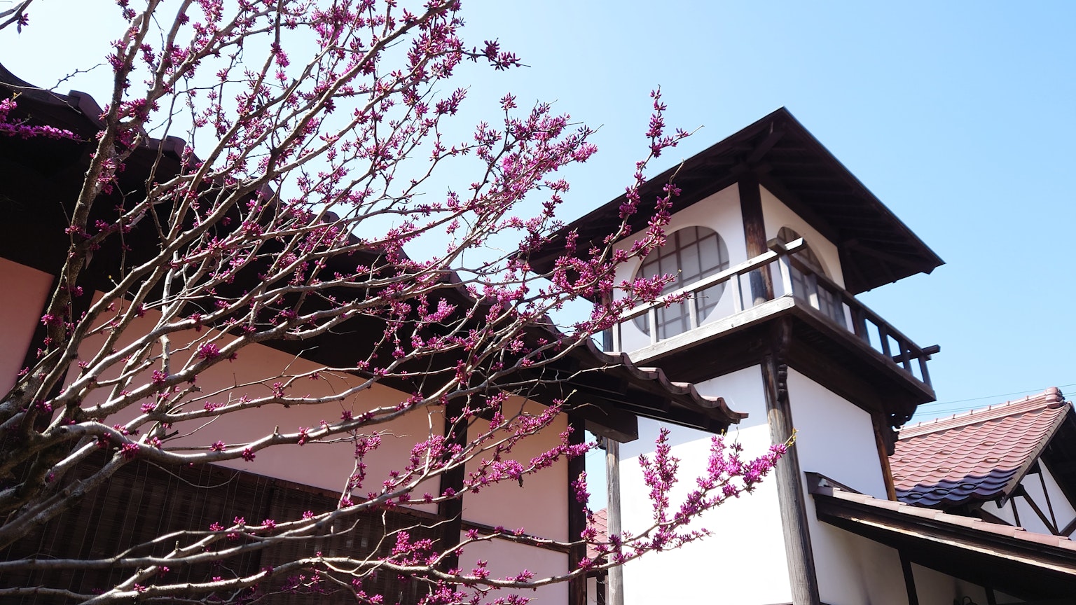 Exterior de una casa con cerezos en flor y cielo azul