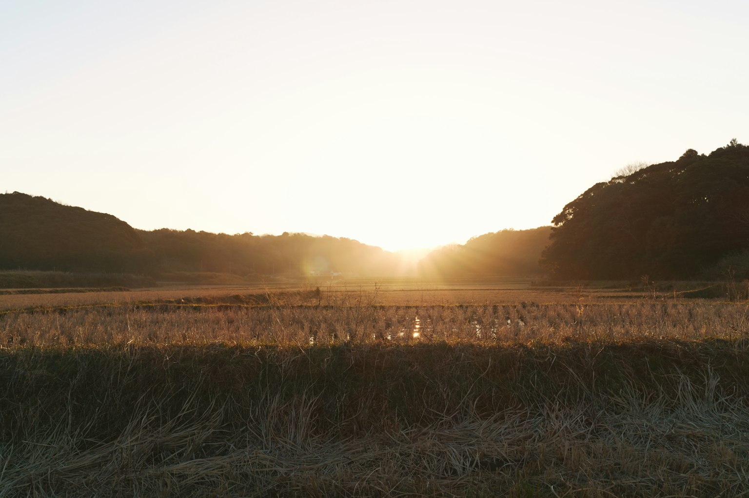 Bild einer ländlichen Landschaft mit untergehender Sonne