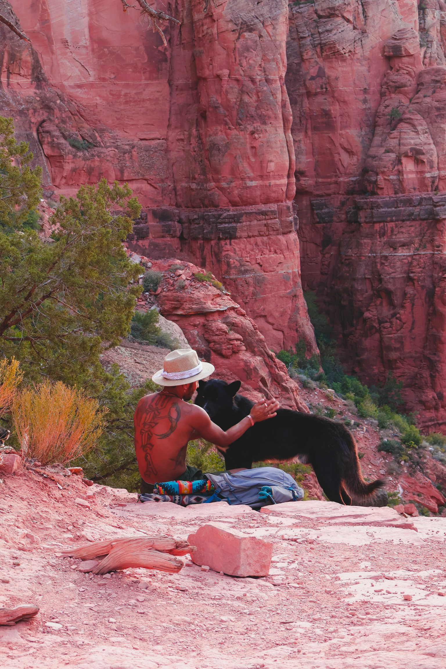 photo-Q4DyILvp3iU9QKnASIin-image