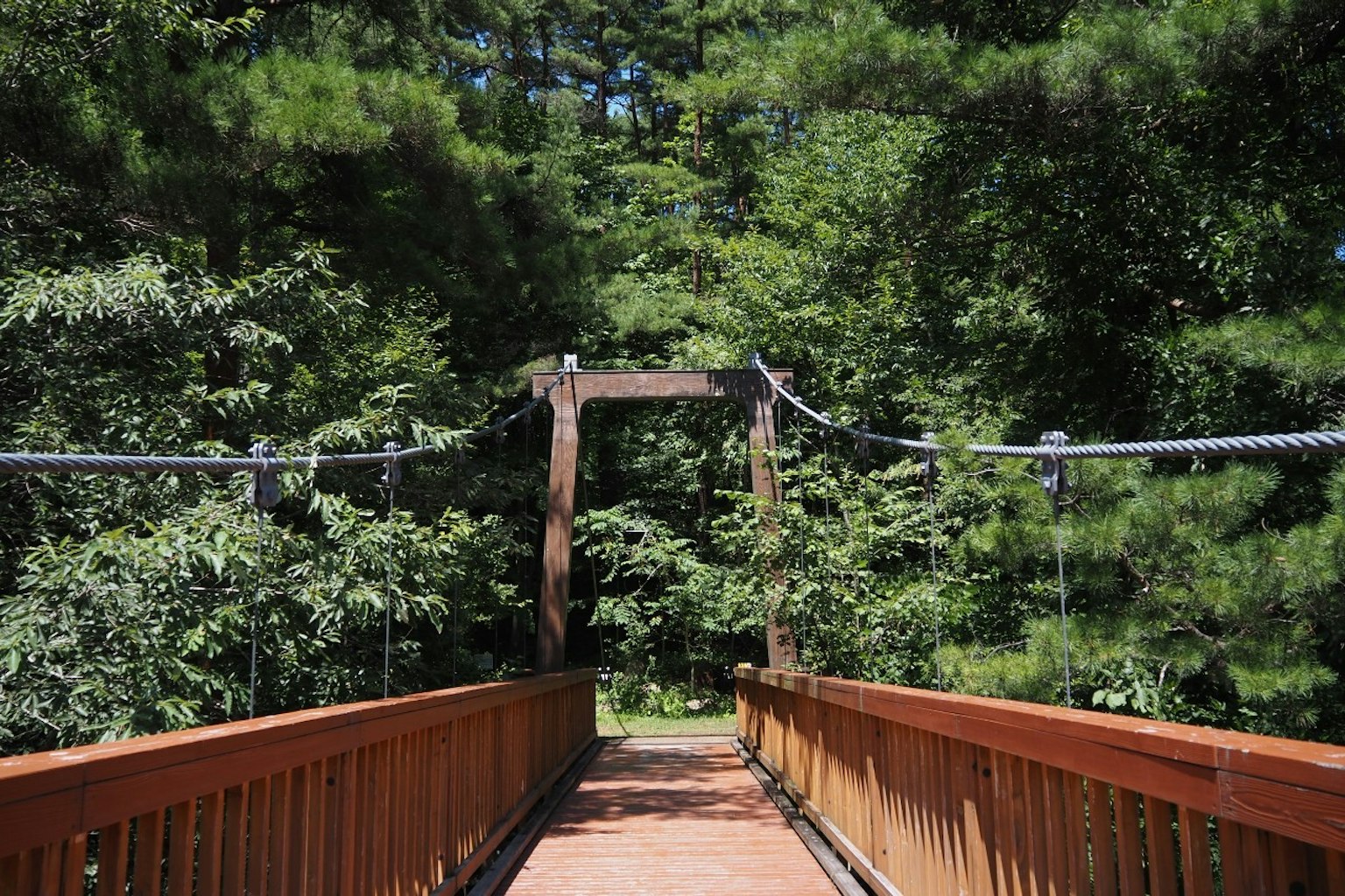 Jembatan gantung di tengah hutan lebat dengan pagar dan penyangga kayu