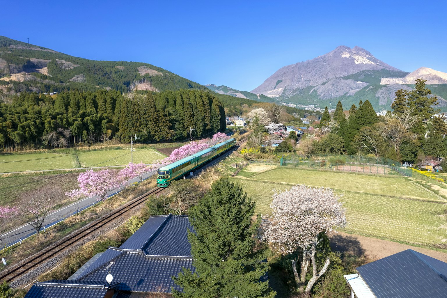 Train voyageant à travers un paysage pittoresque avec des montagnes et des cerisiers en fleurs