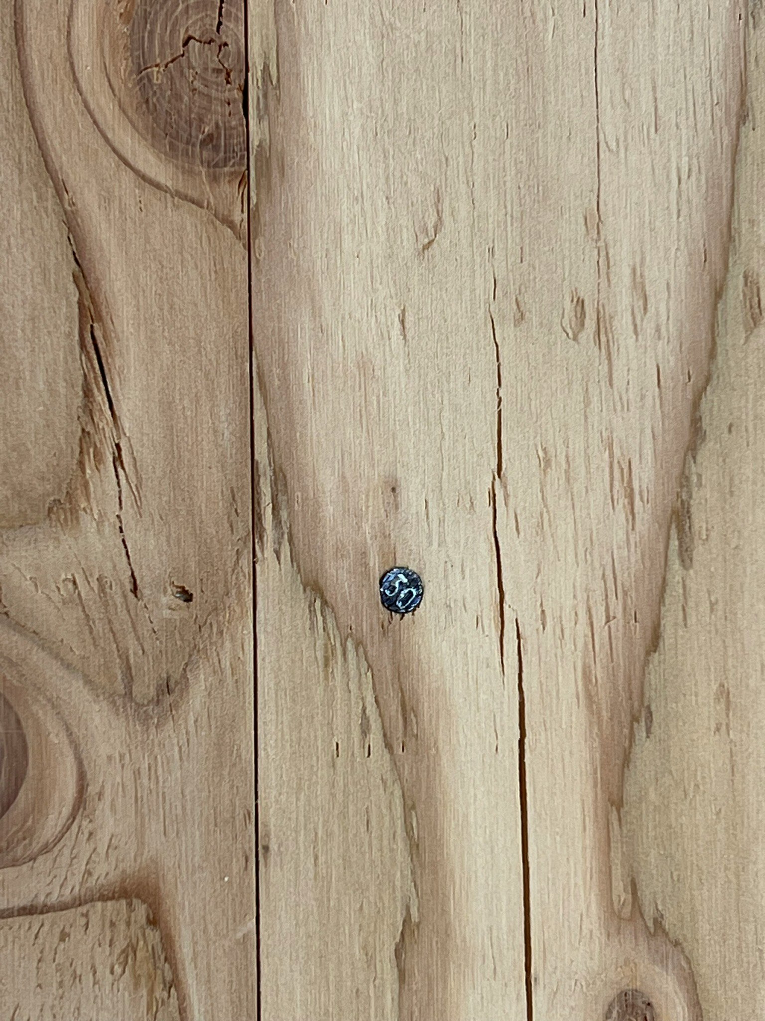 Vis métallique sur une surface en bois avec des motifs de grain visibles