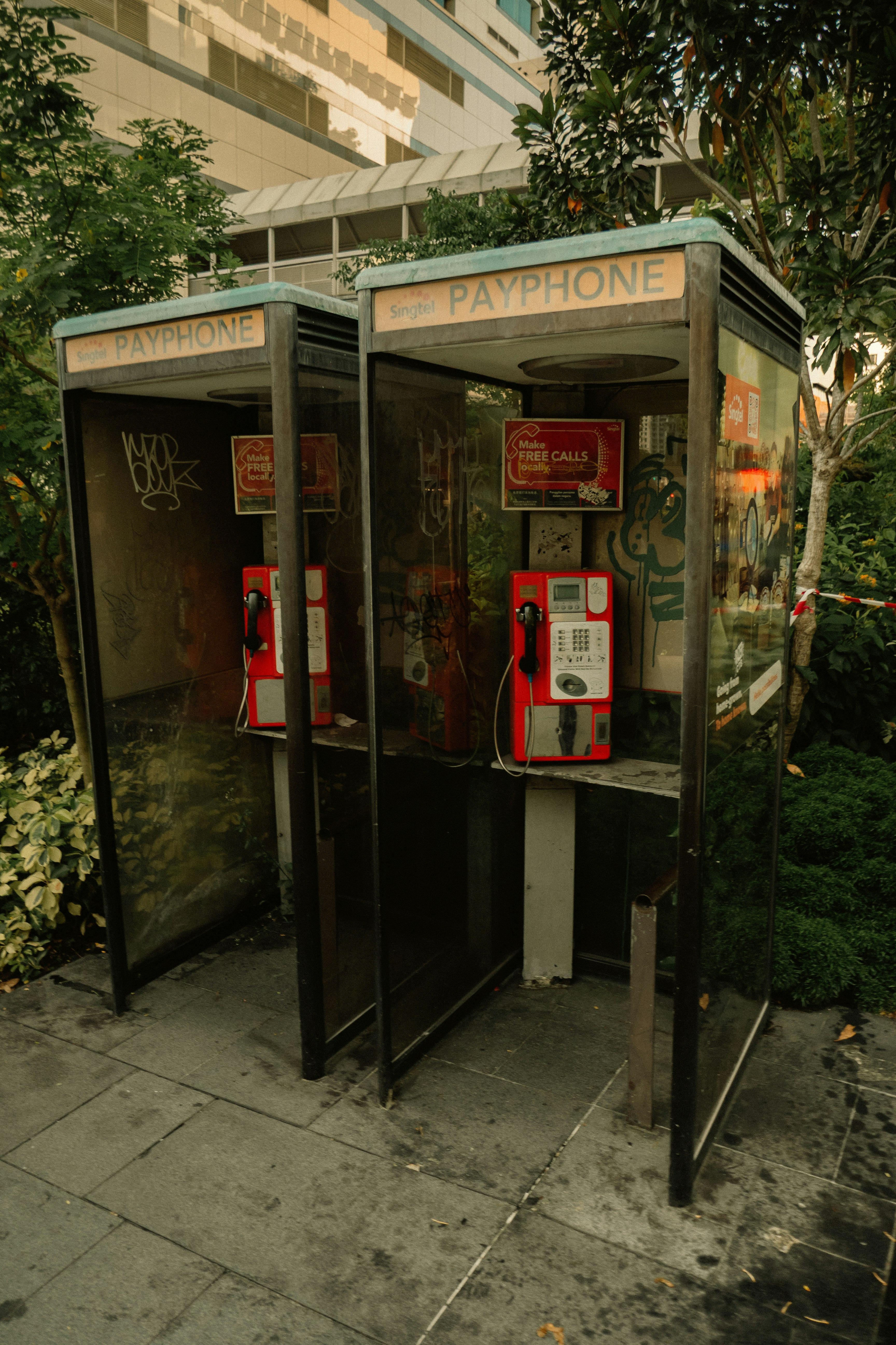photo-Q6CiOulaWve2tnpmcjFG-image