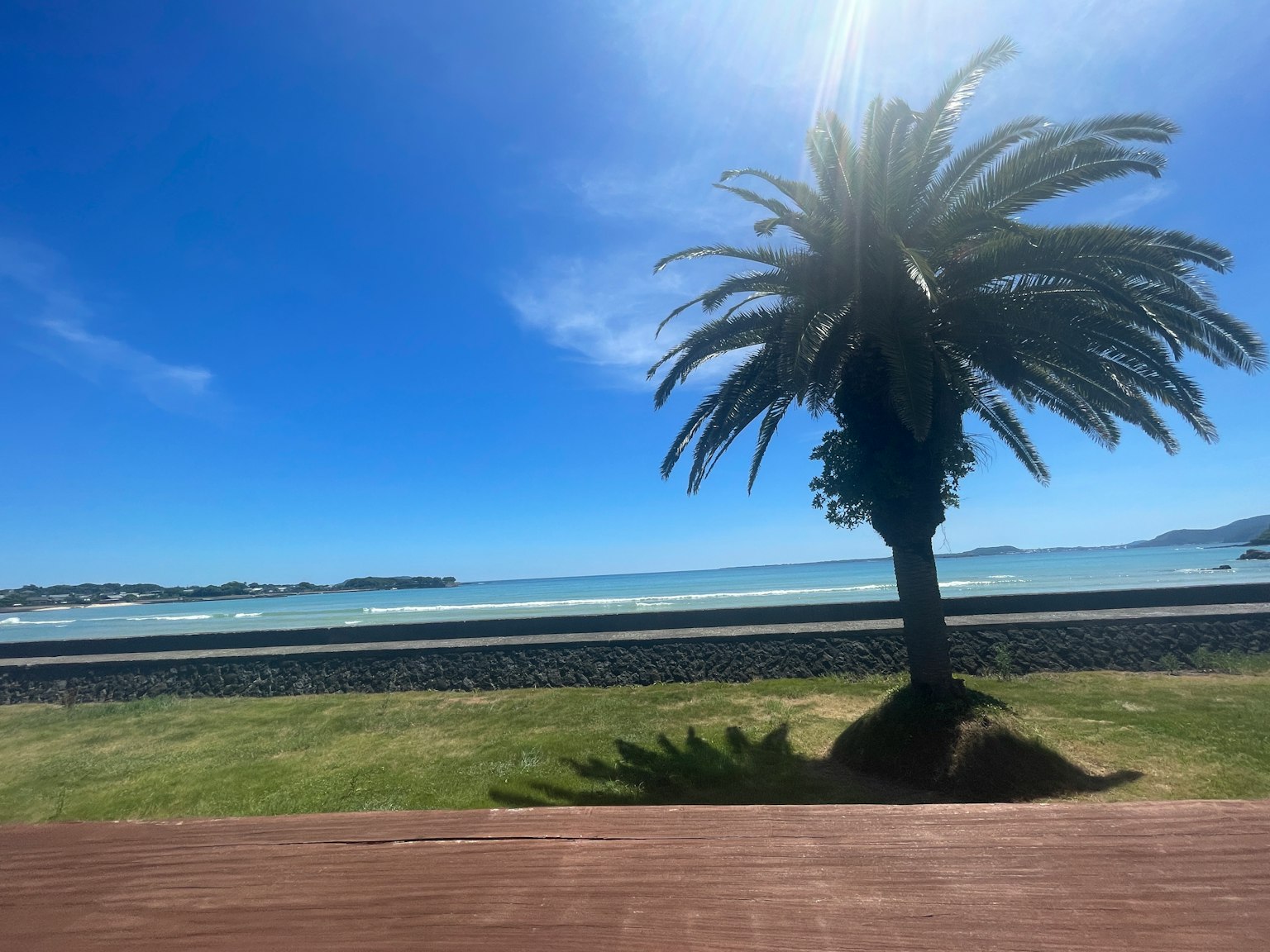 Landschaft mit einer Palme und blauem Himmel im Hintergrund