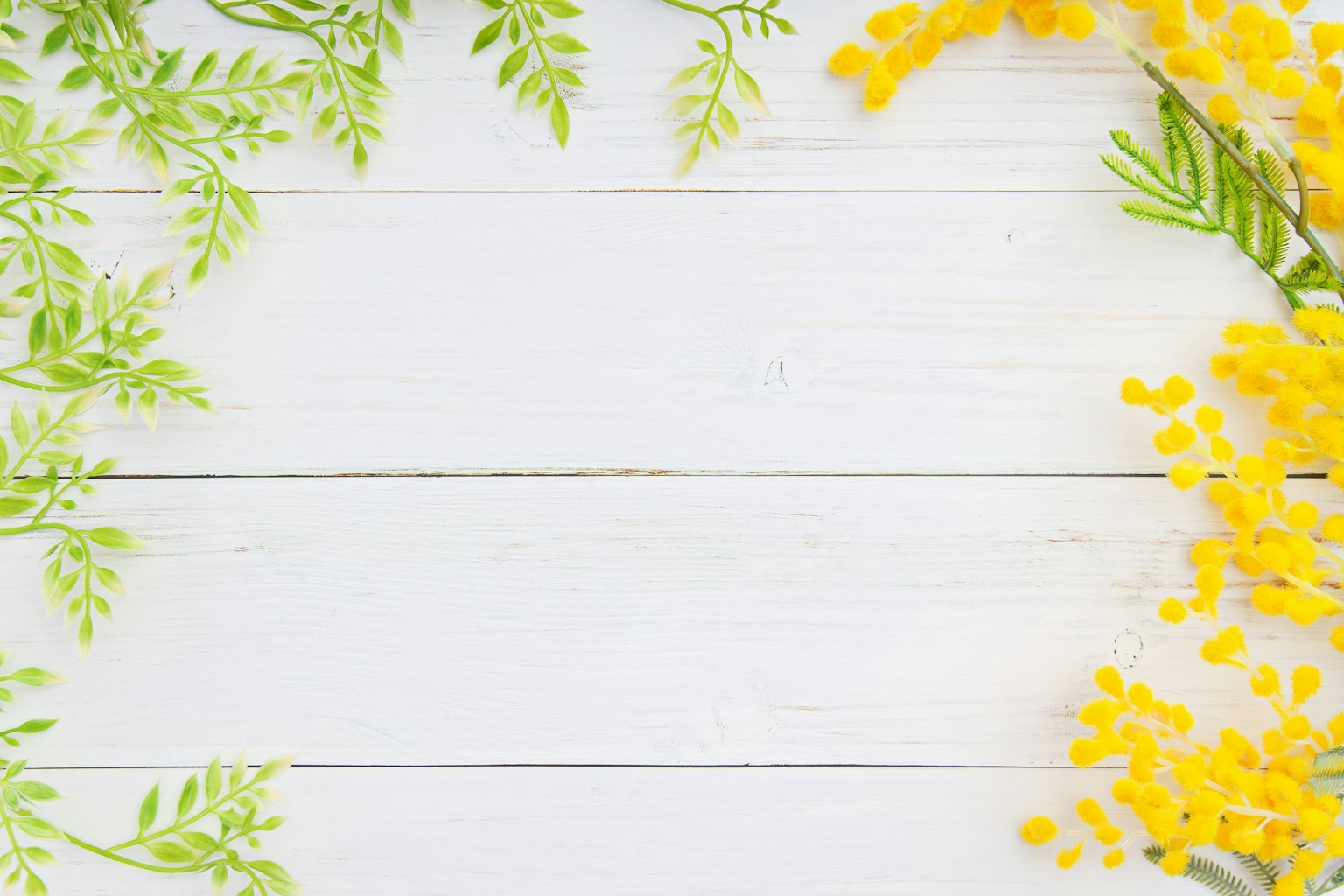 Image featuring green leaves and yellow flowers on a white wooden background