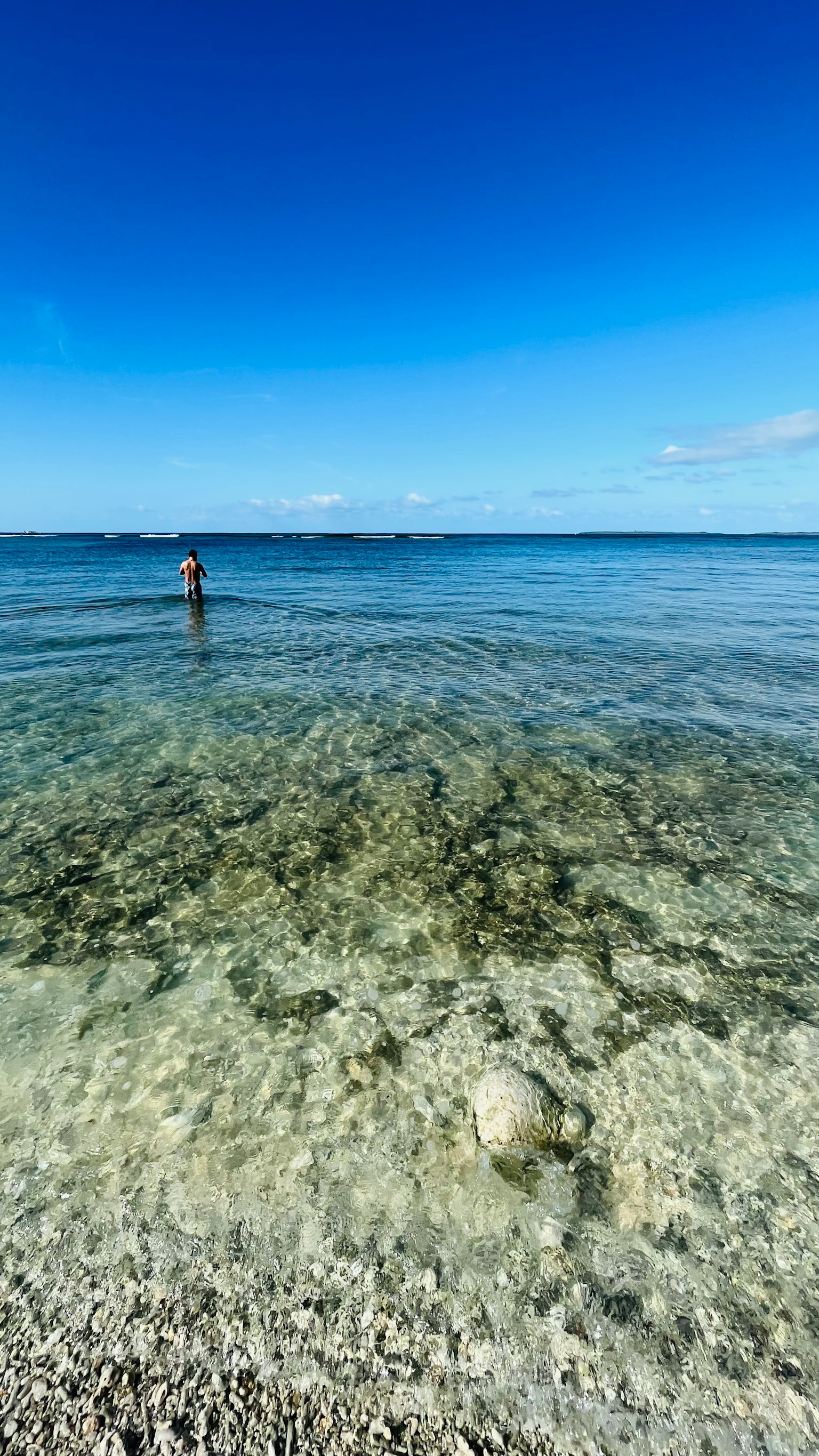 A person standing in clear water with a blue sky above