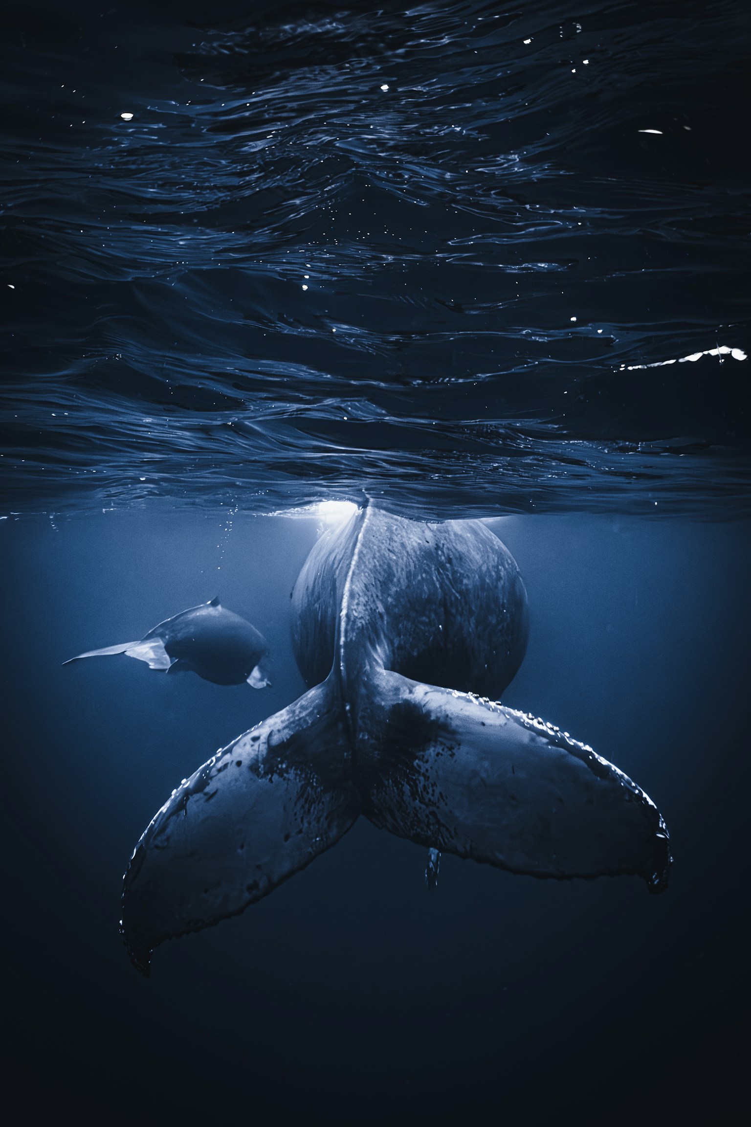 photo-Q6sHzD2T9wyO0iWmGkN6-image