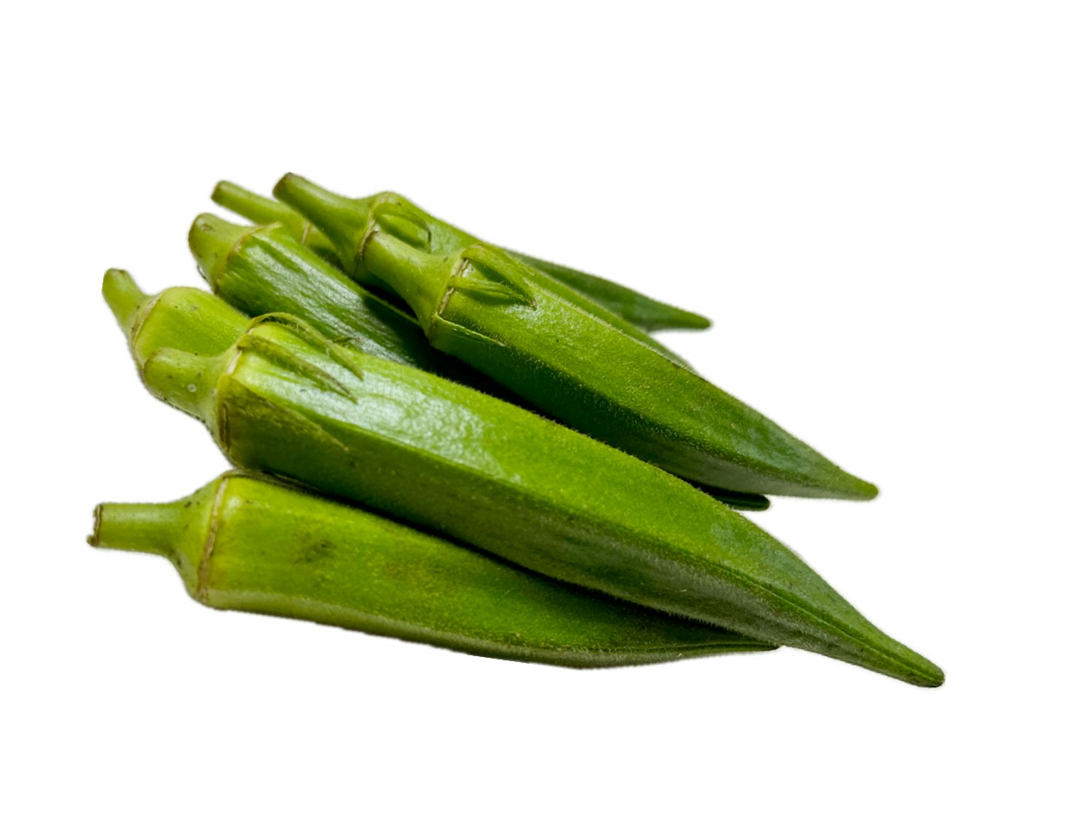 Một bó quả okra tươi trên nền trắng