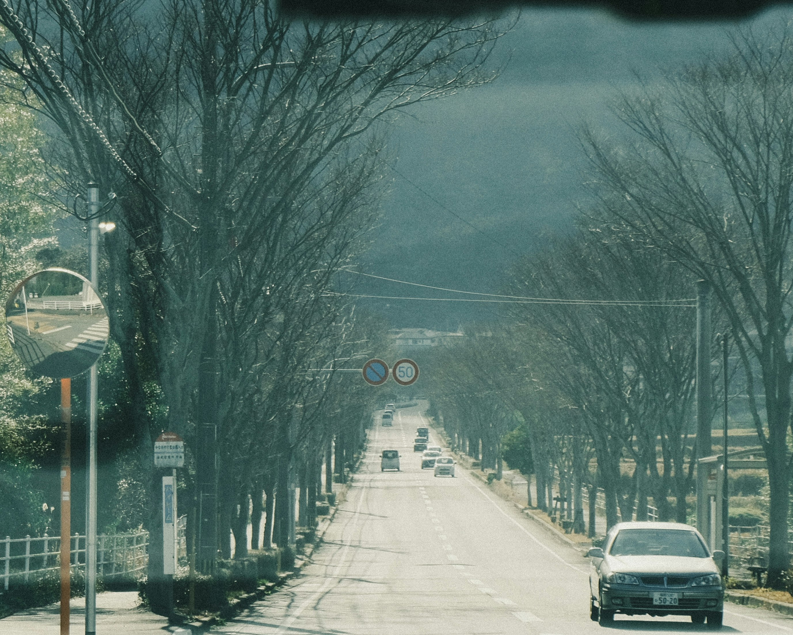 並木道の奥行きが感じられる冬の直線道路