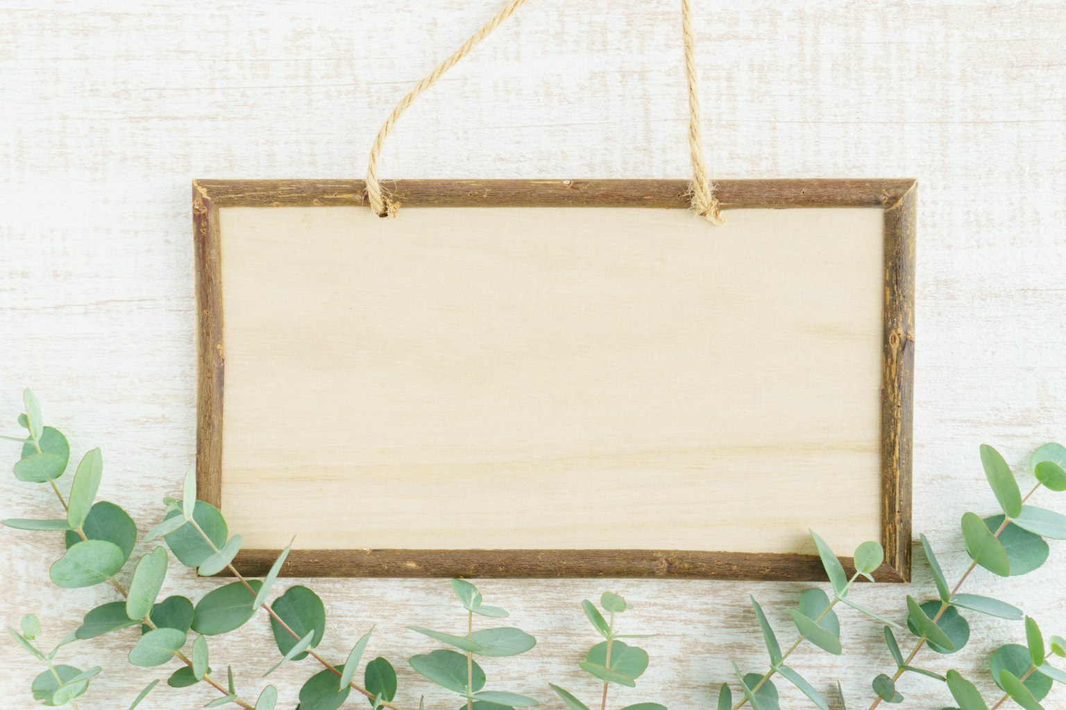 Panneau en bois entouré de feuilles d'eucalyptus