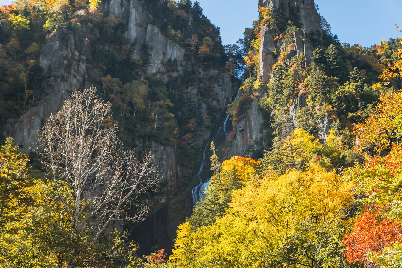 秋季樹葉和瀑布的山景