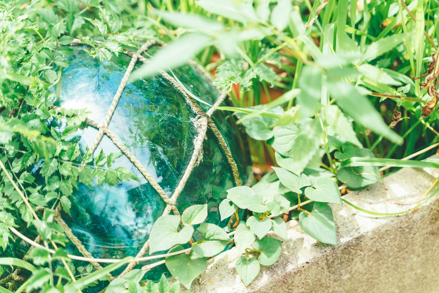 Globo blu circondato da piante verdi