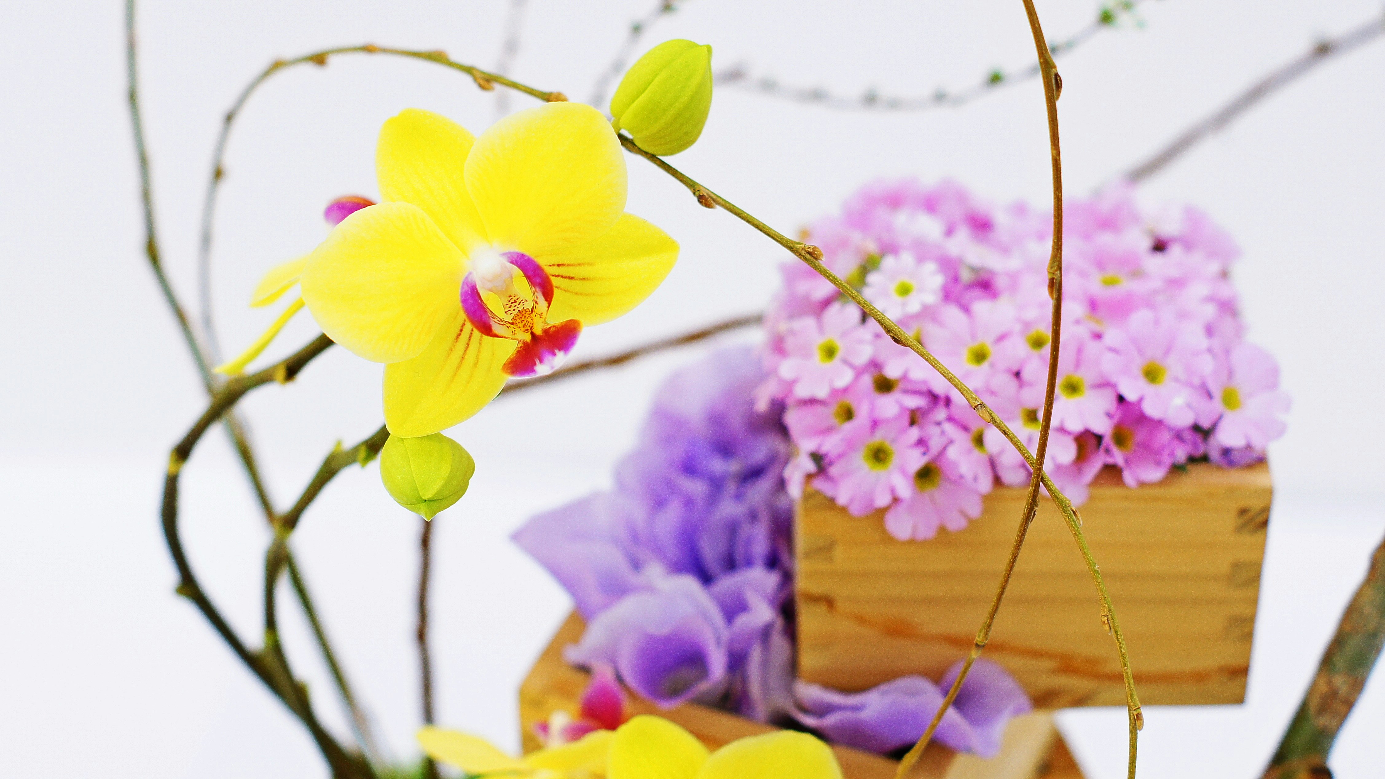 Arrangement of yellow orchids and purple flowers in wooden boxes