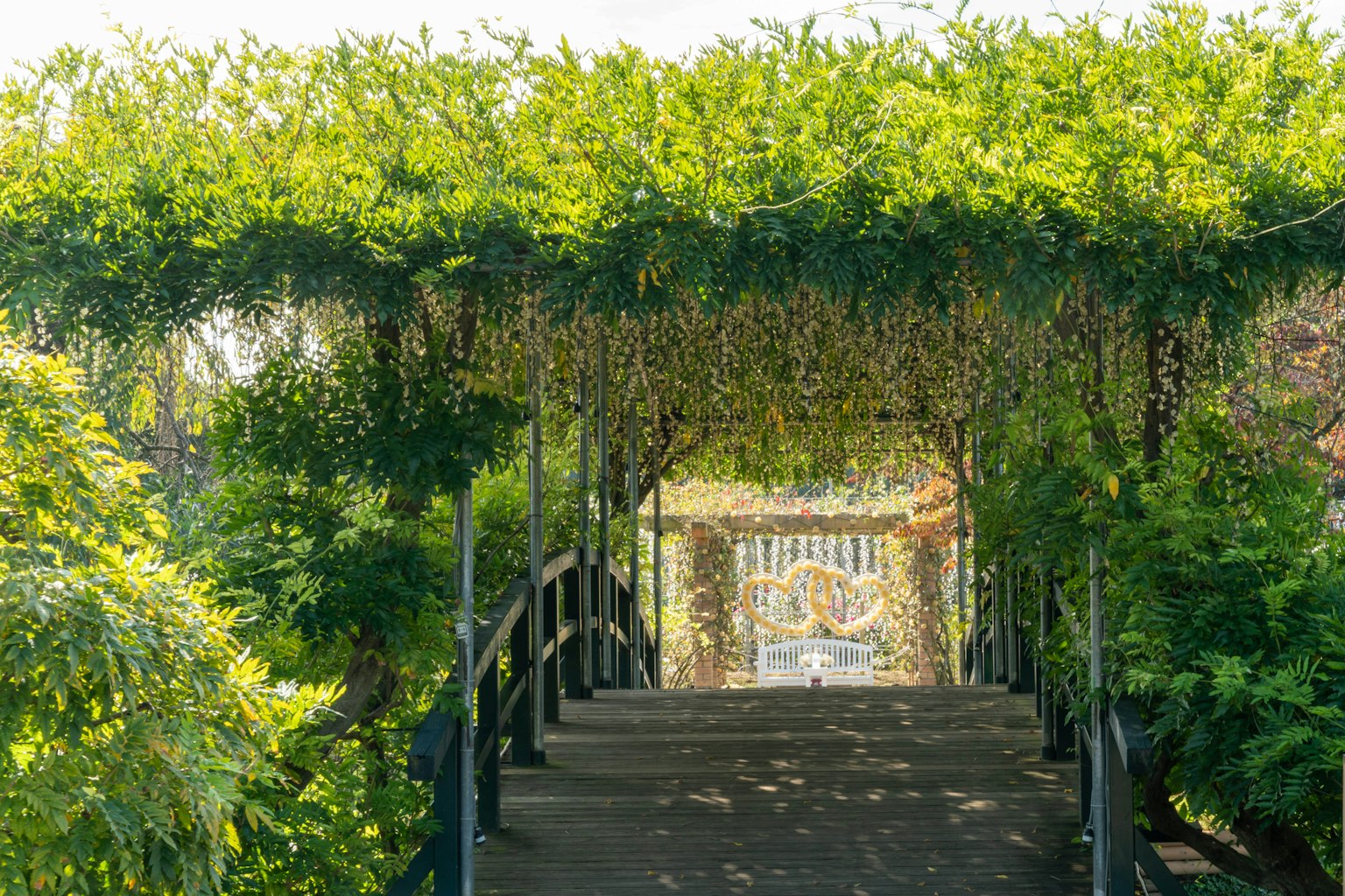 Holzbrücke umgeben von grünen Blättern, die zu einem Tor führt