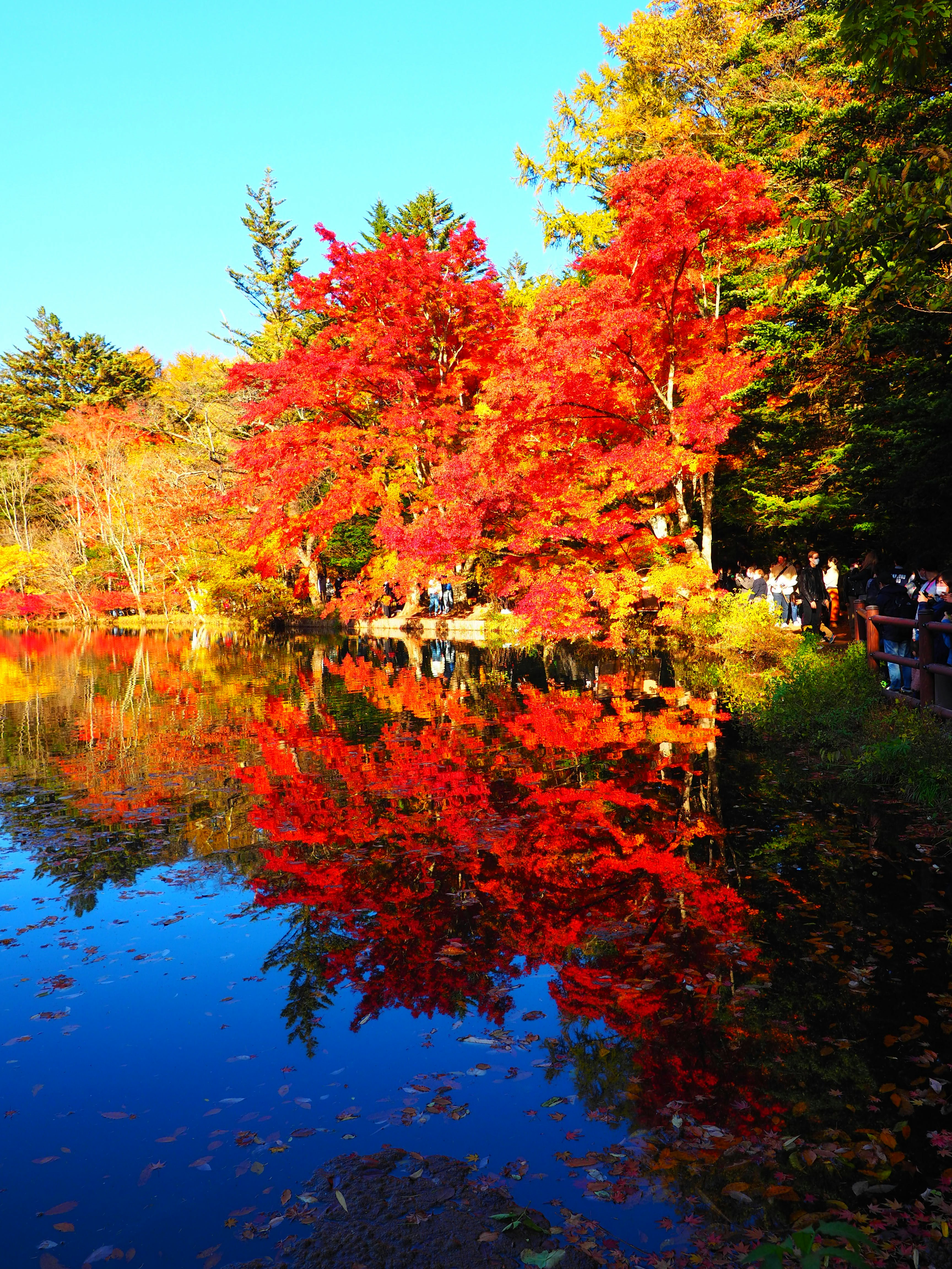 秋の紅葉が映る湖の景色