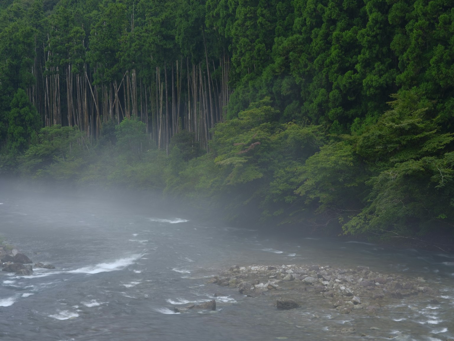 Mist over a river with lush green forest