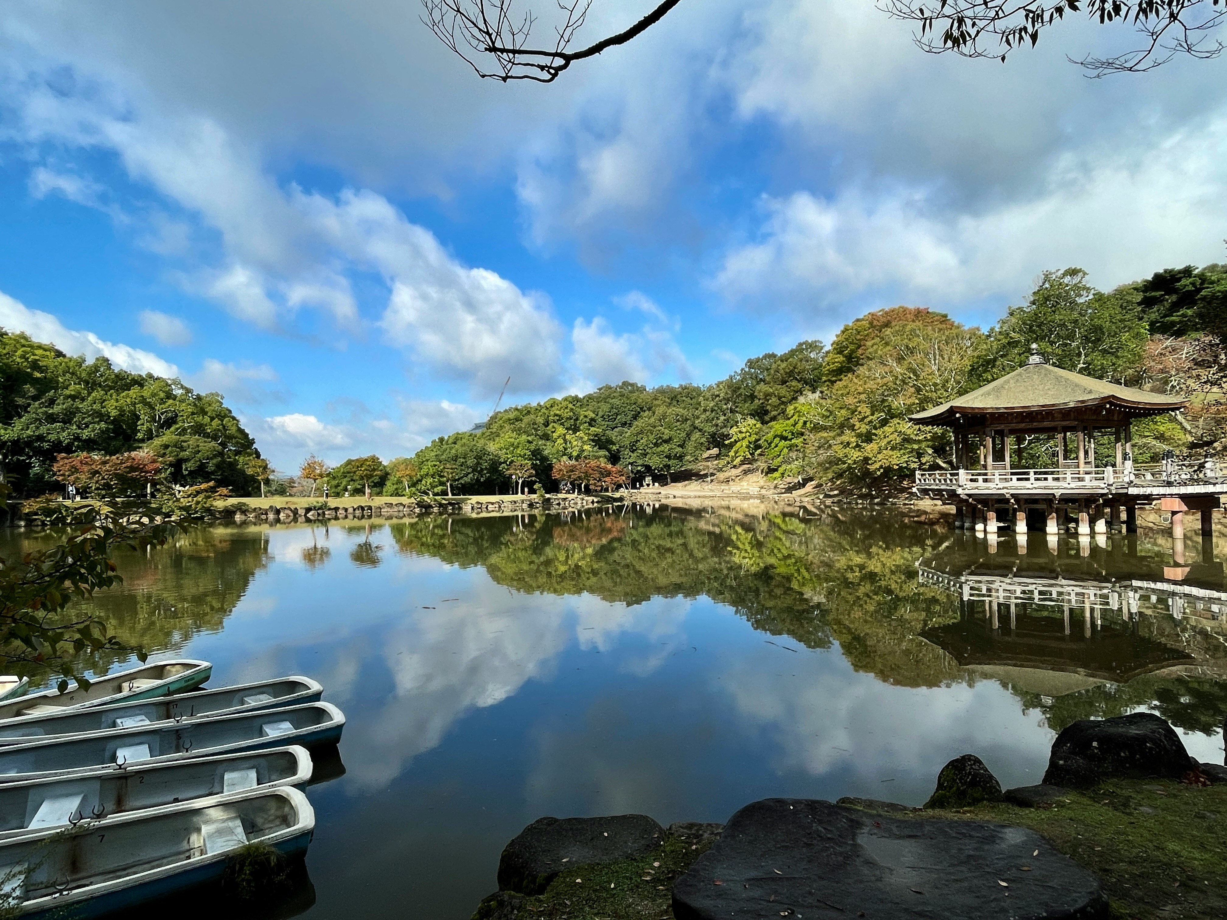 浮見堂のある池の水面と周囲の庭園風景