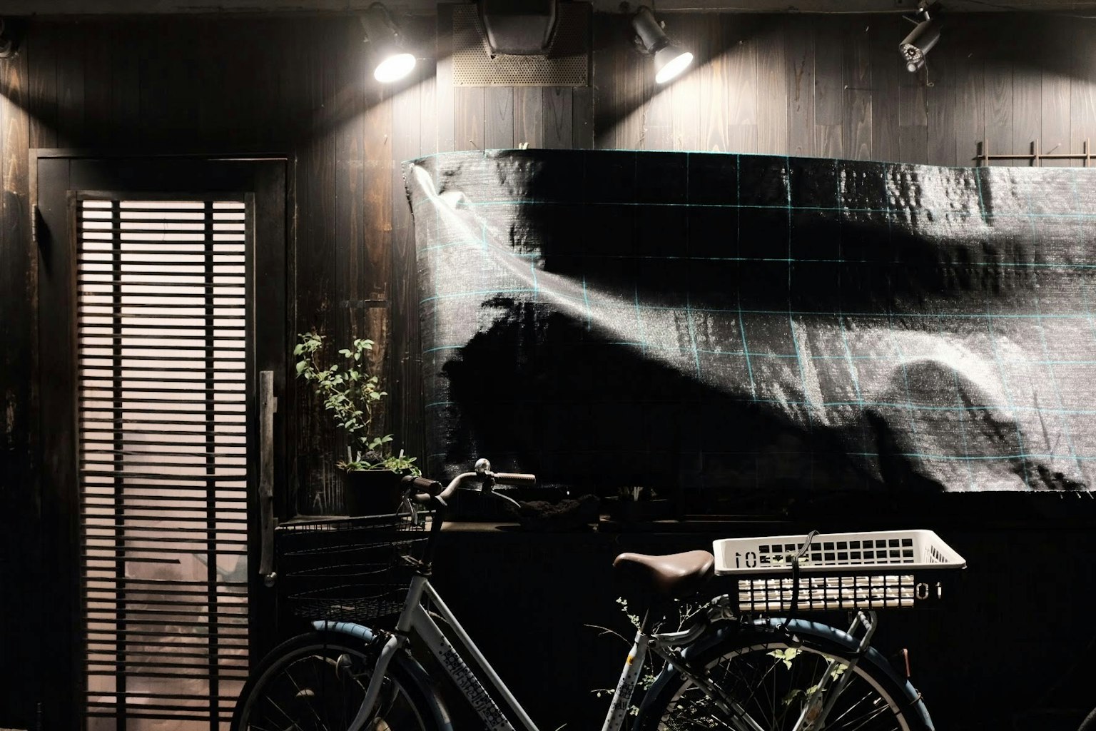 Un interno semplice con una bicicletta e una pianta su sfondo scuro