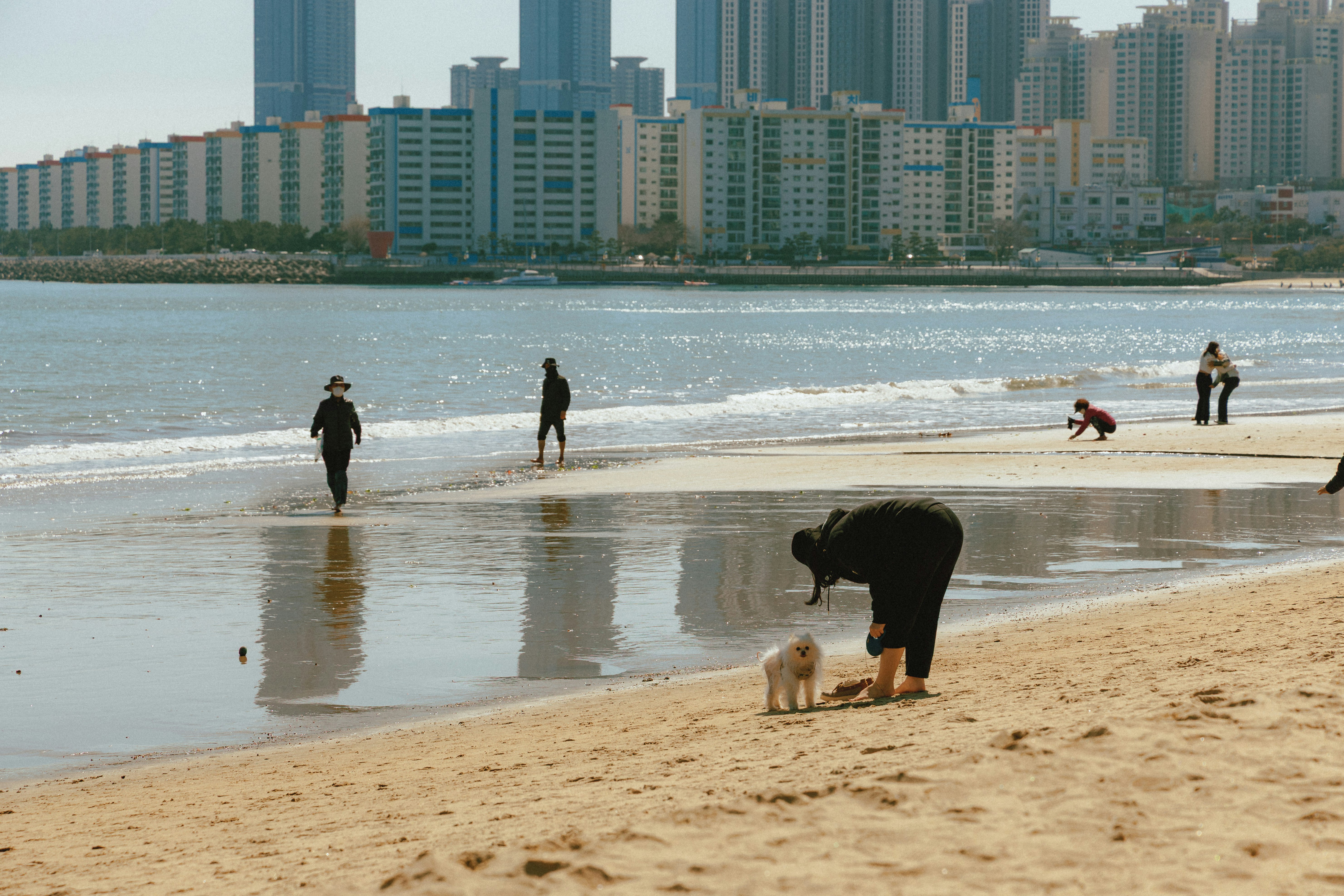 Cảnh bãi biển cát ở Gwangalli, Busan, với người đi dạo và một chú chó