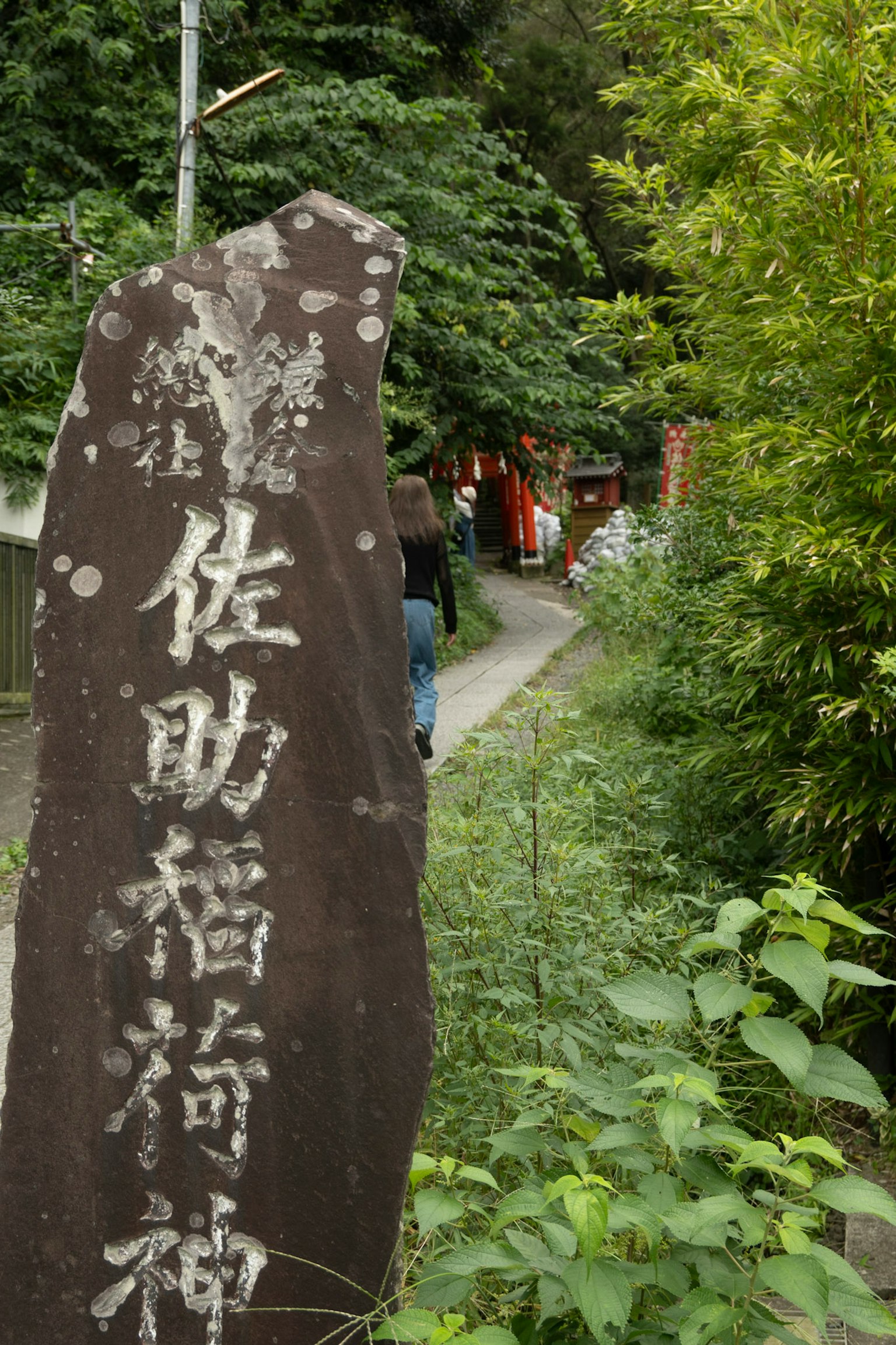 Panneau en pierre affichant le nom du sanctuaire Sasuke Inari entouré de végétation luxuriante