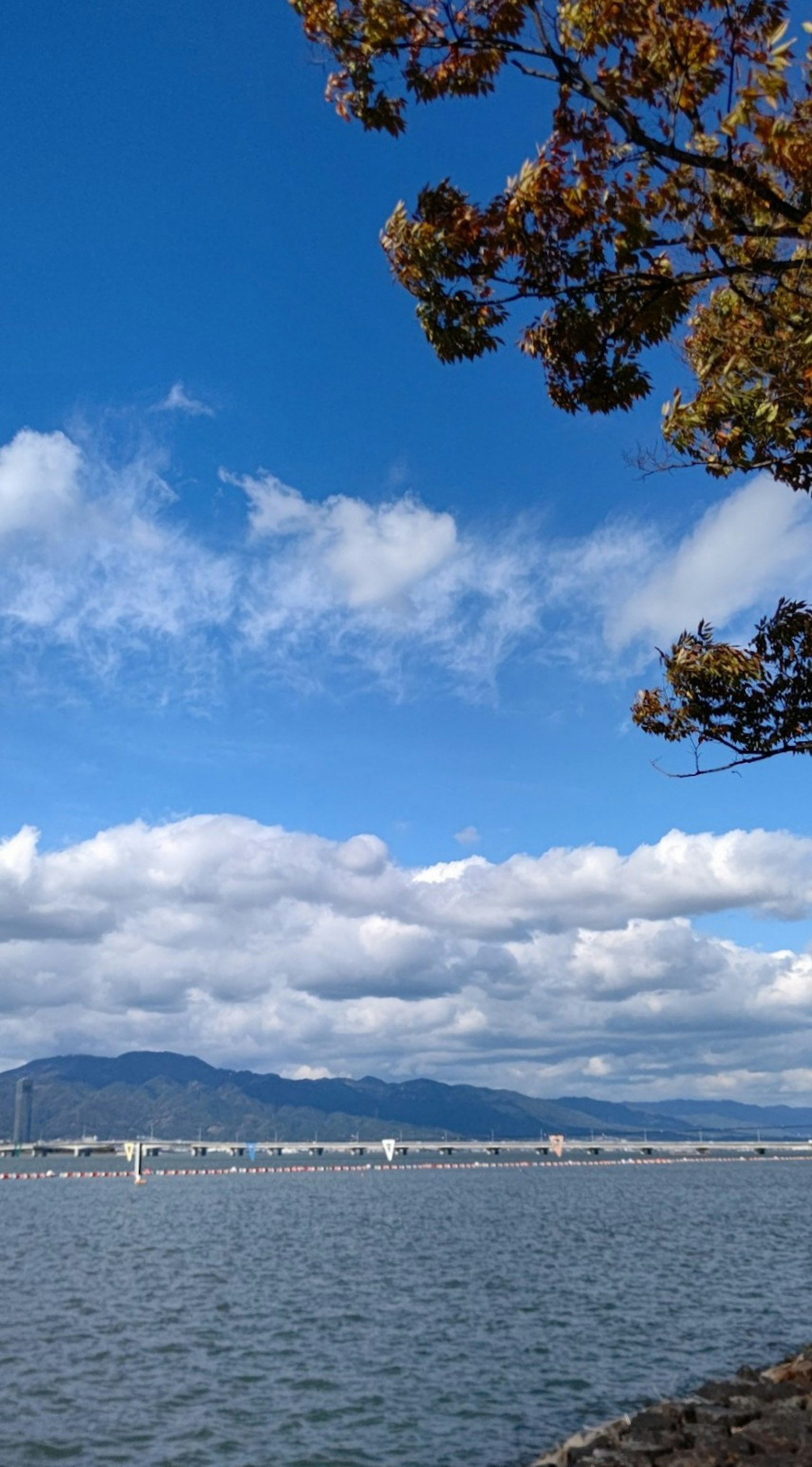 蓝天白云的风景 彩色树叶可见 湖泊和山脉