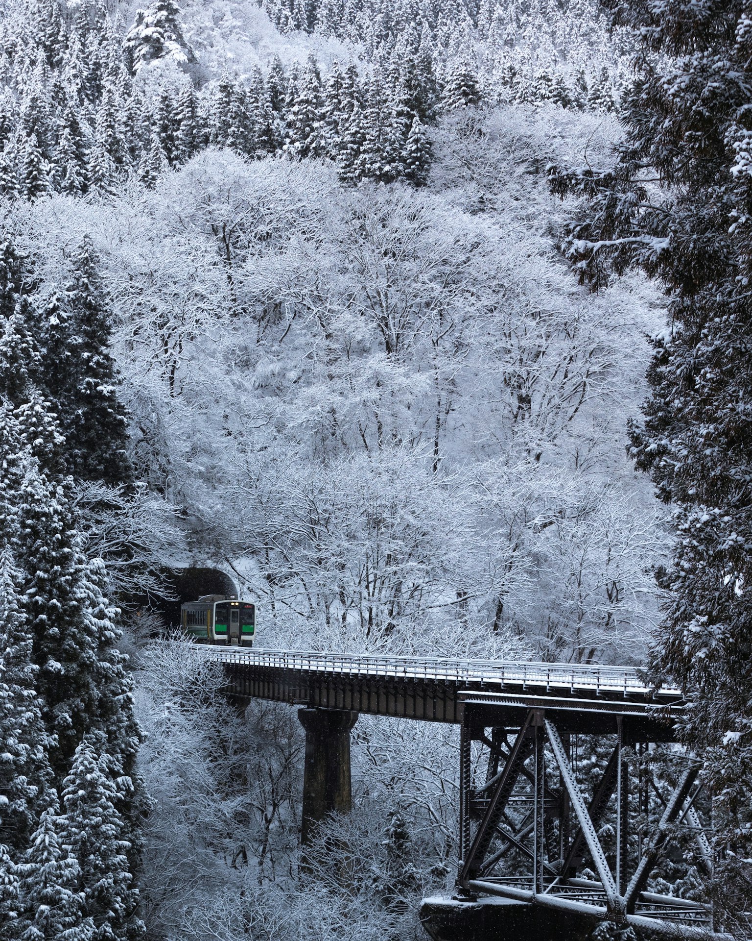 火车穿越冬季风景中的雪桥