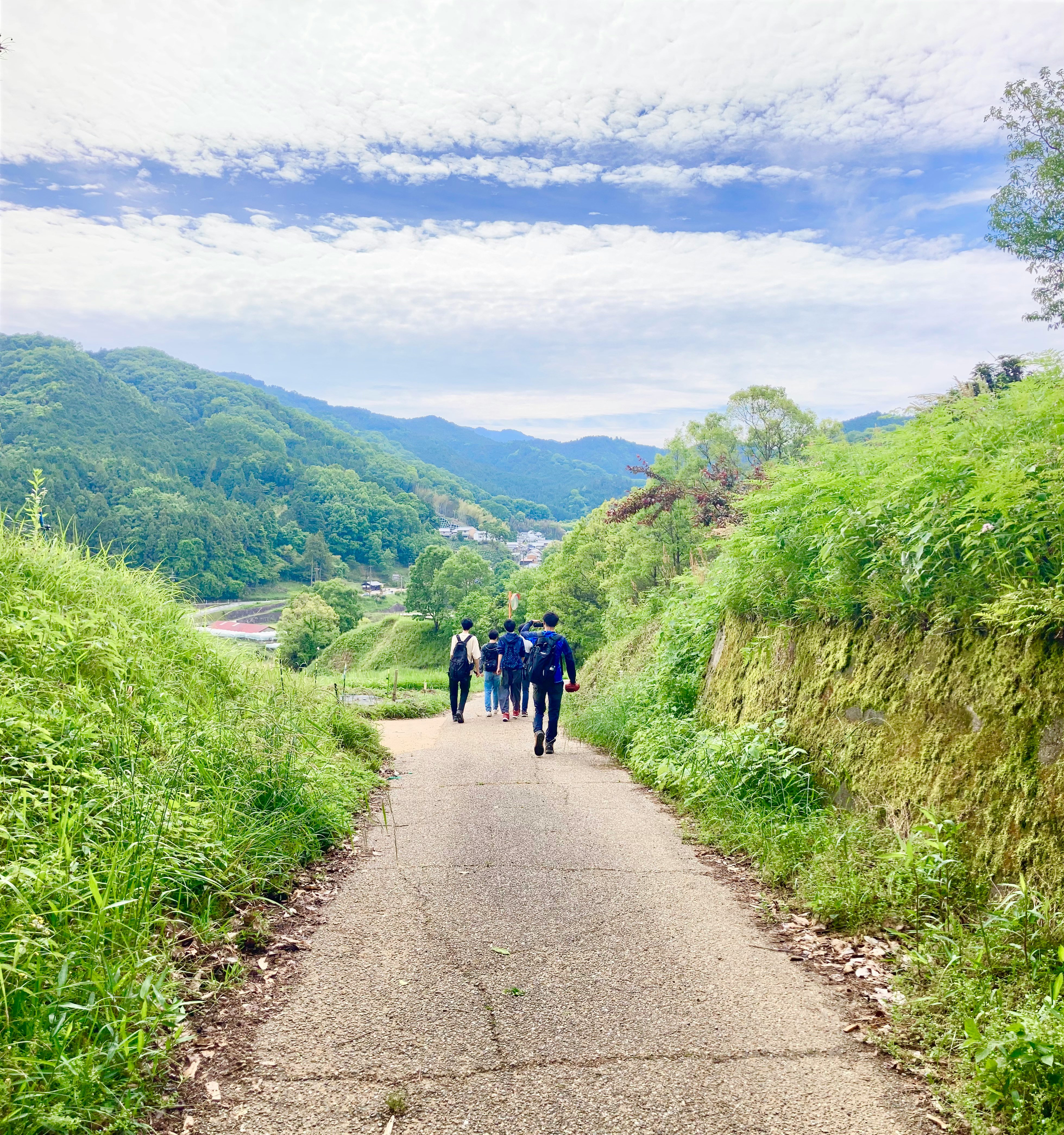 People walking along a green mountain trail from behind