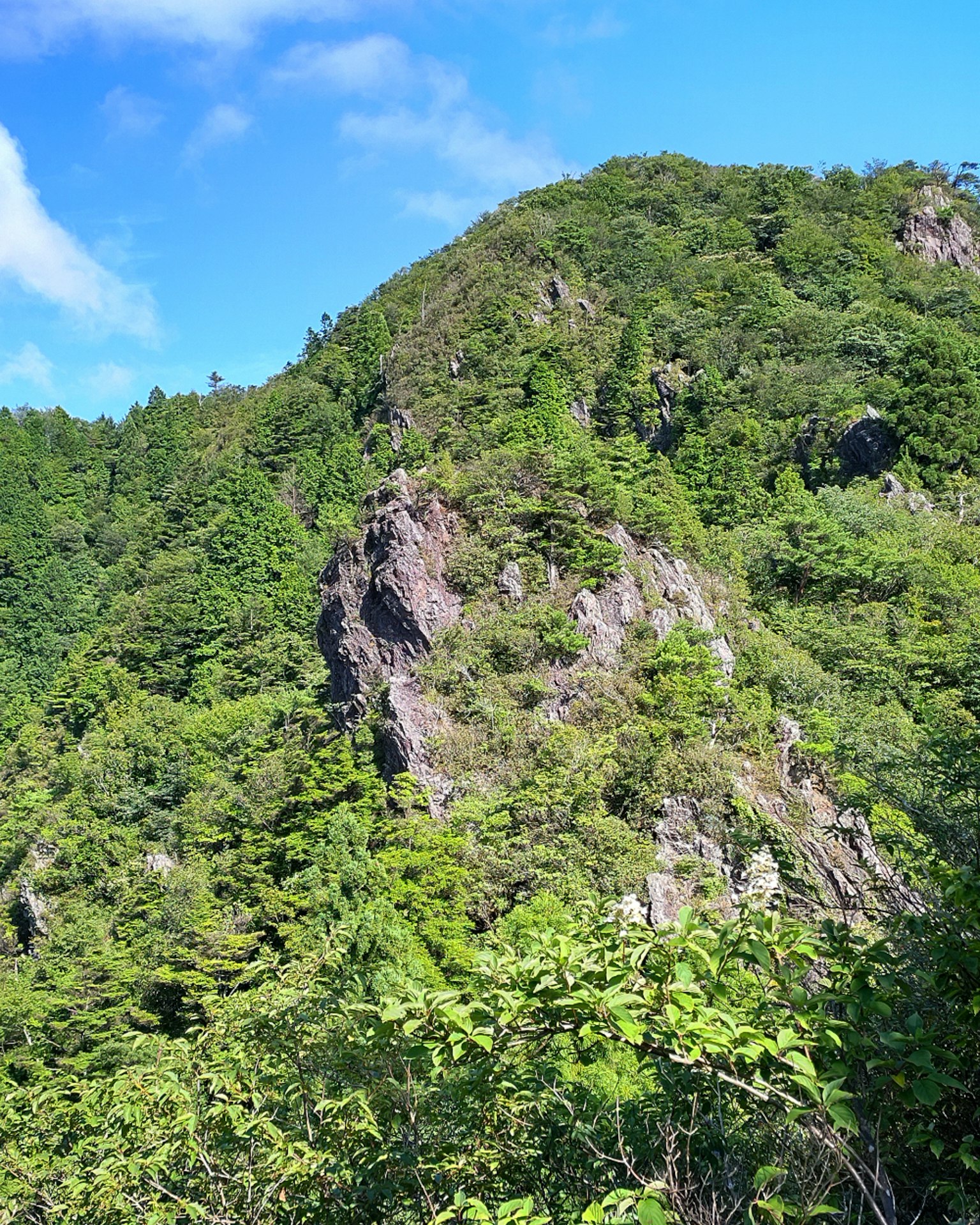 Pemandangan alam yang indah dengan gunung hijau di bawah langit biru