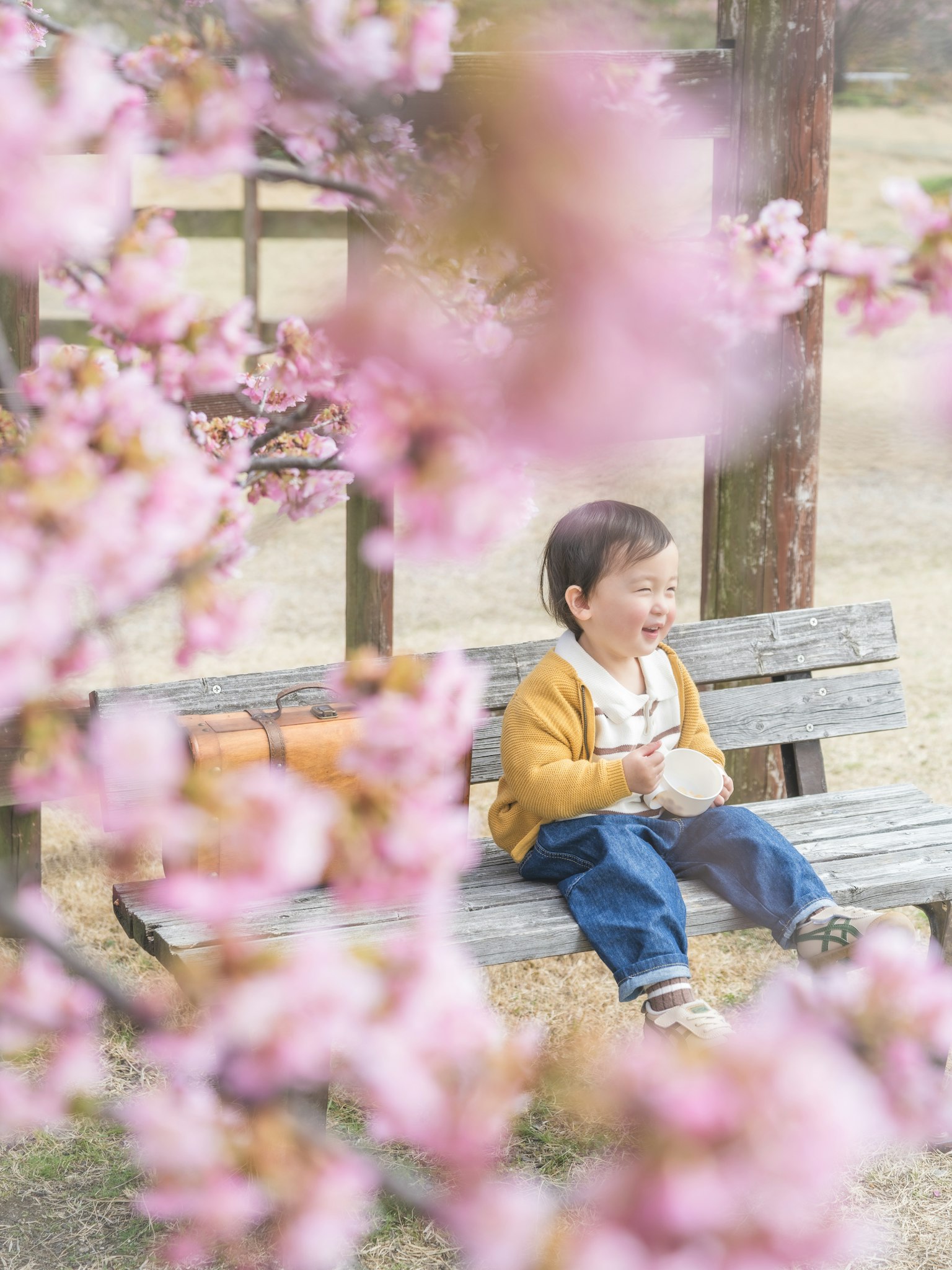Kind sitzt auf einer Bank und lächelt zwischen blühenden Kirschblüten