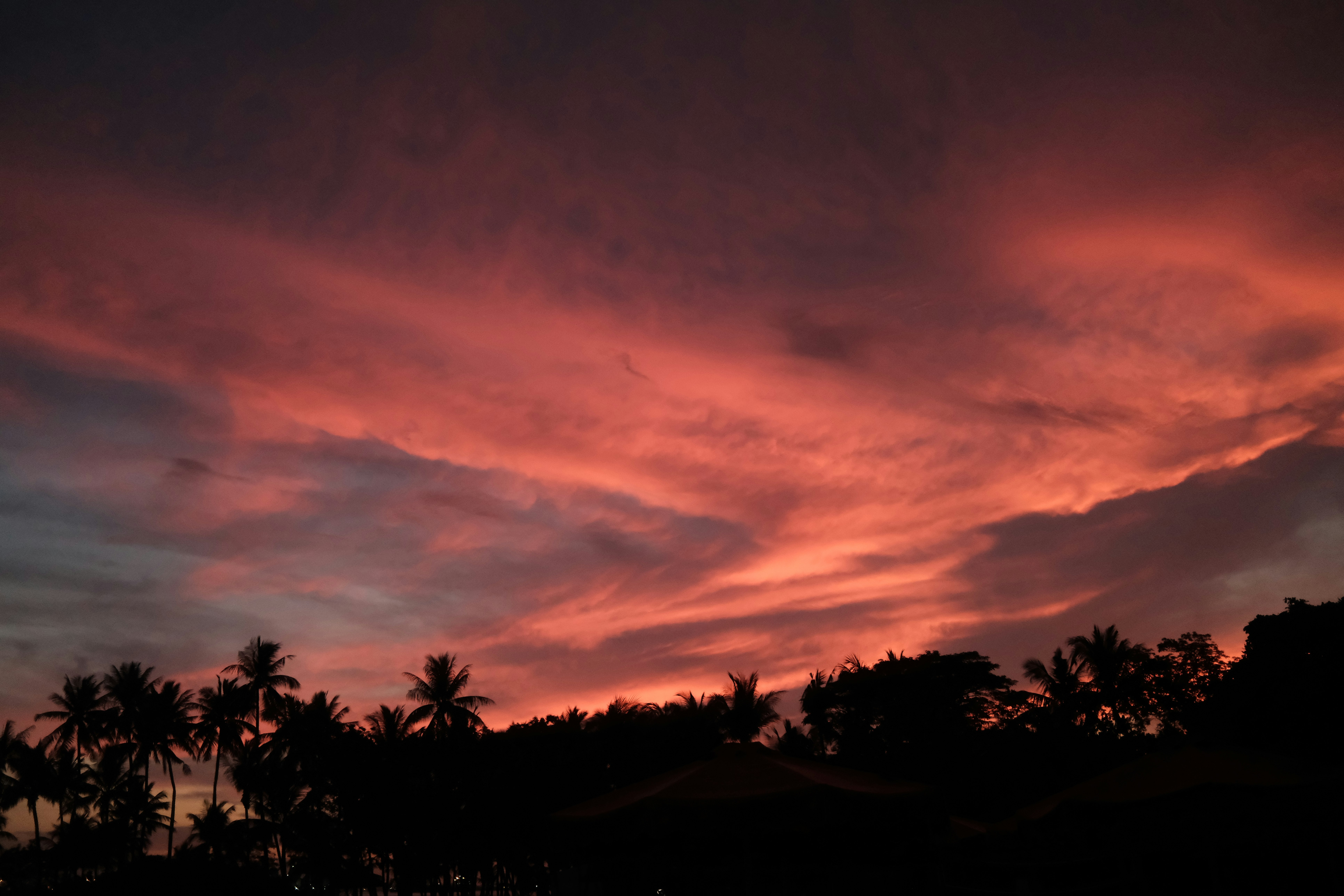 夕焼けの空と雲、ヤシの木が並ぶ海辺のシルエット