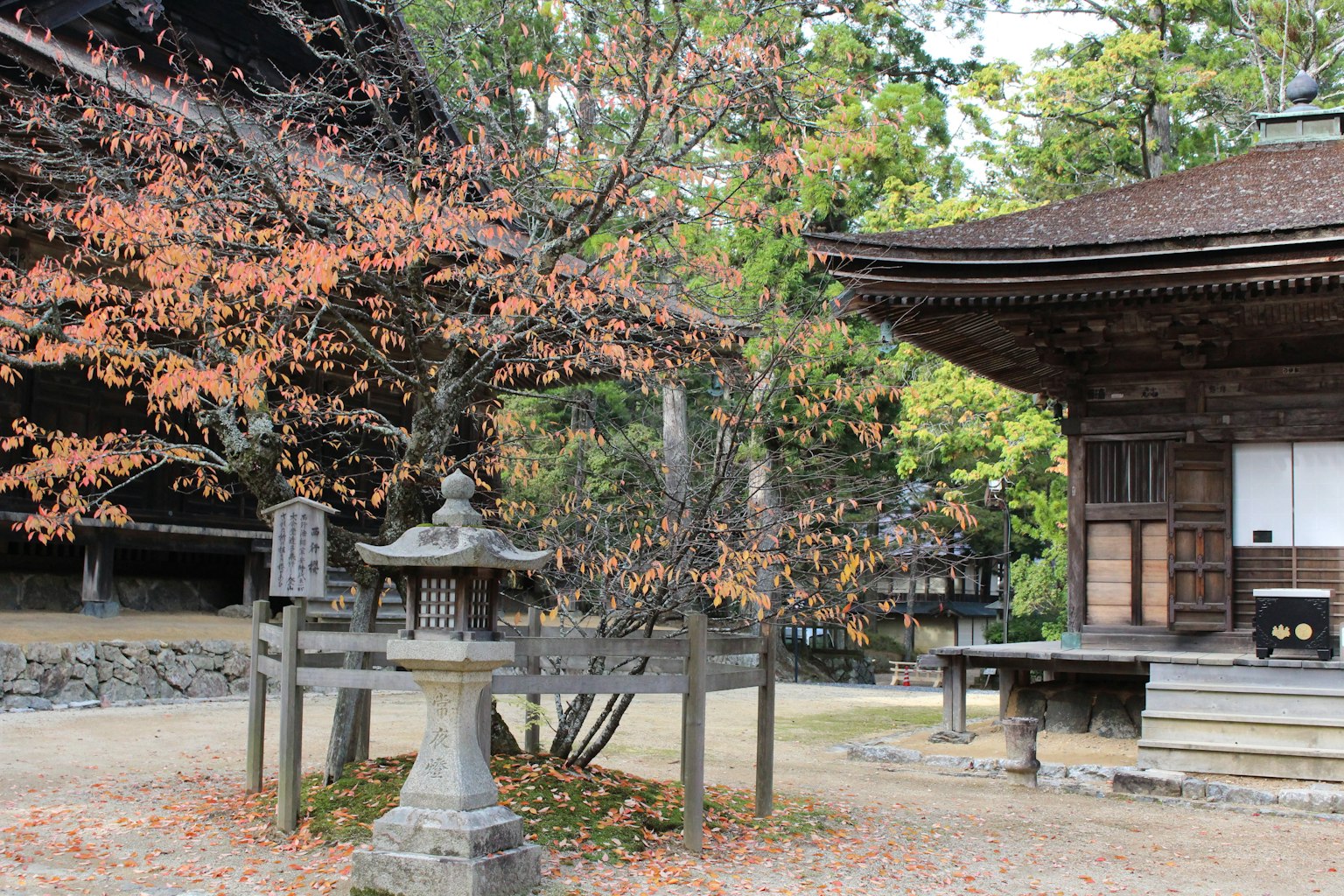 ทิวทัศน์ที่สวยงามของใบไม้ร่วงและวัดโบราณพร้อมโคมไฟหิน