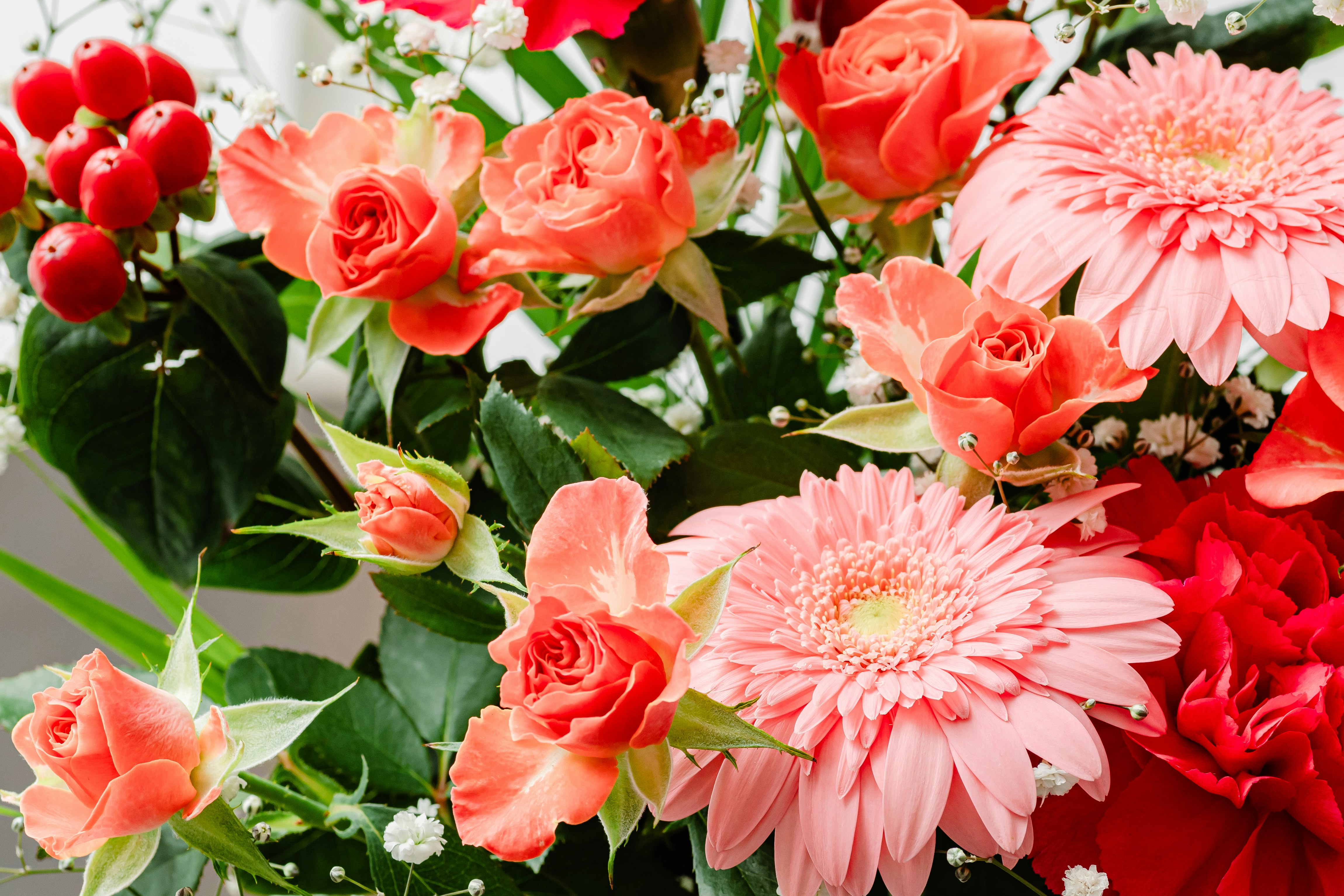 ピンクと赤の花束の花々が寄り添うアップ画像