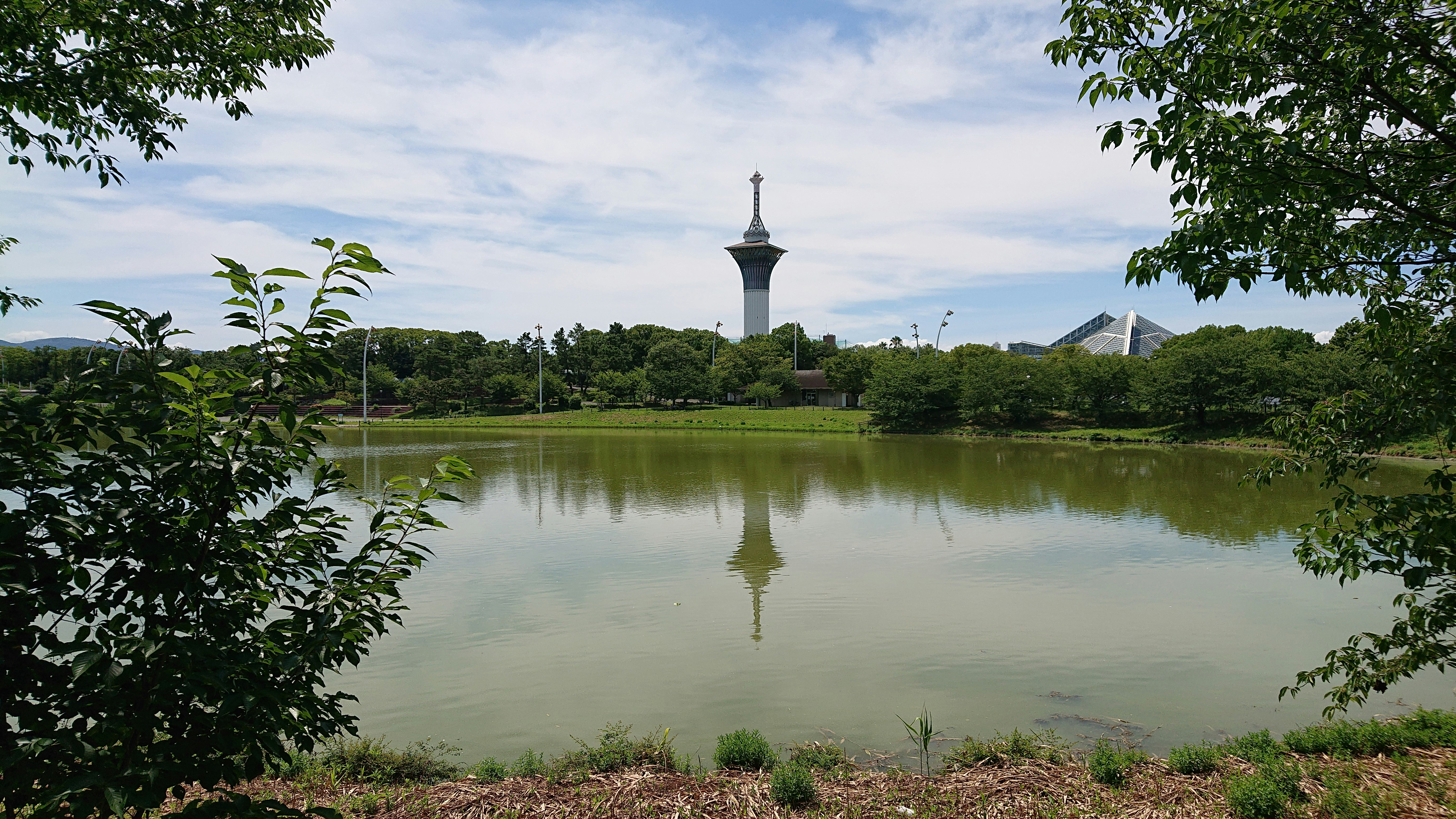 鶴見緑地公園の池と展望塔のある風景