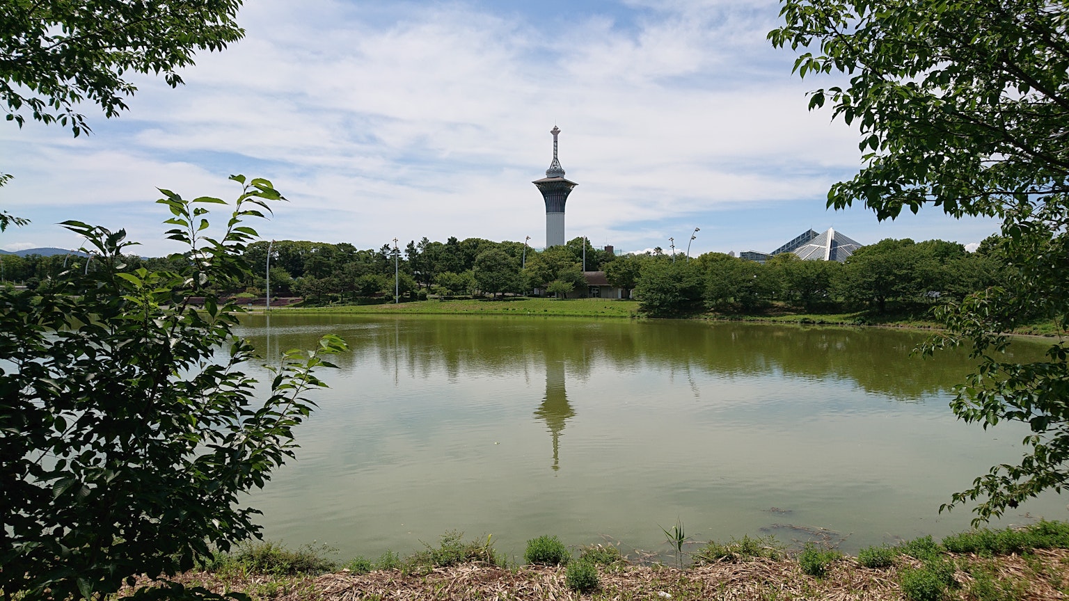 photo-QDG4QAme0VjPVB5X3ckp-image