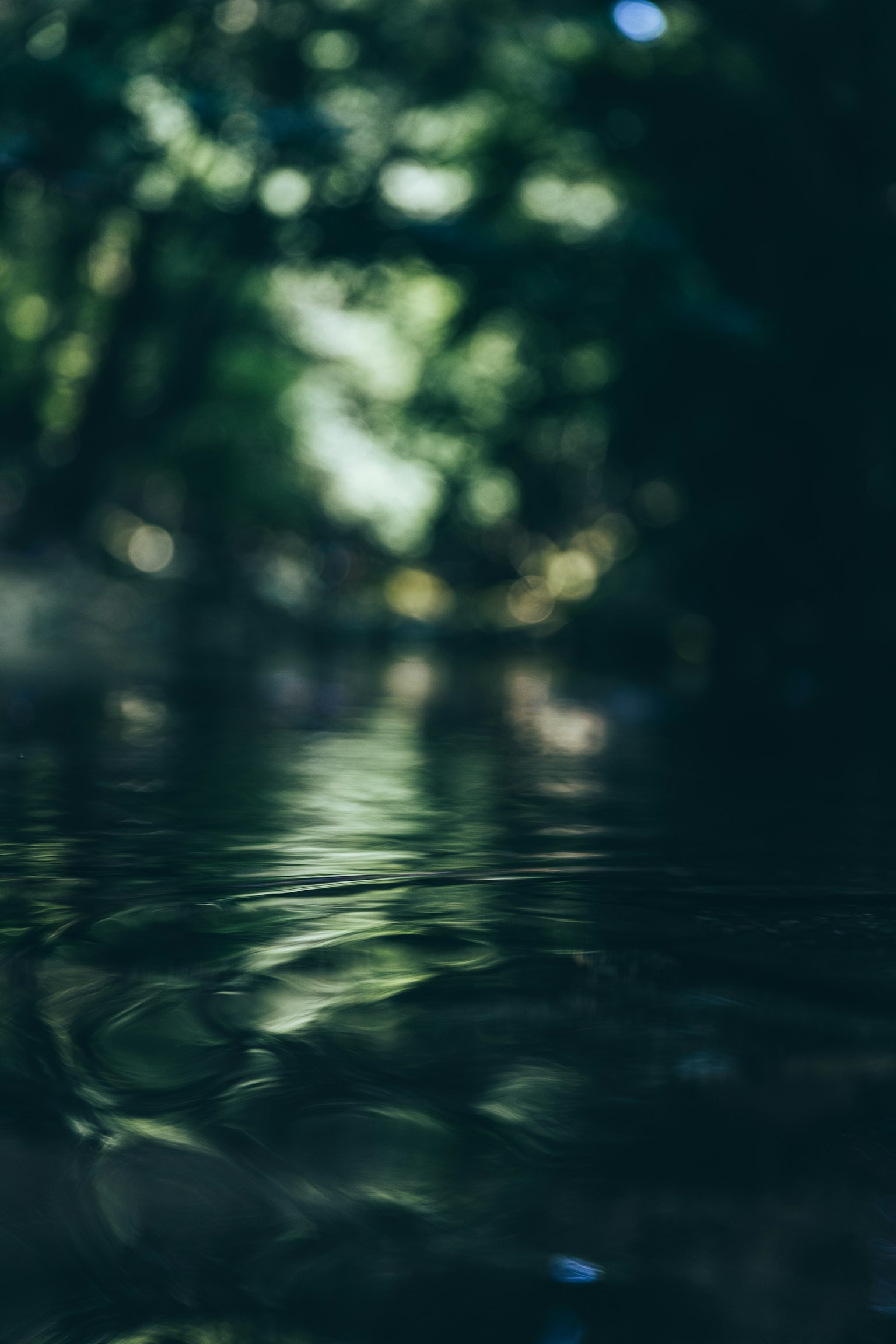 Image floue d'eau calme reflétant des arbres verts