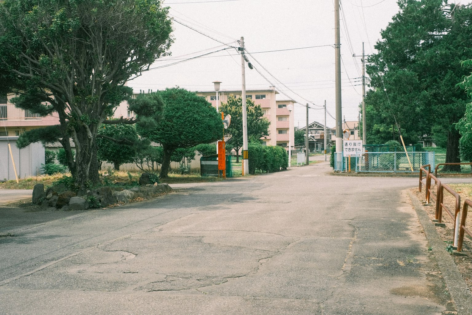 安靜的住宅街景 綠樹和鋪砌的道路 可見房屋