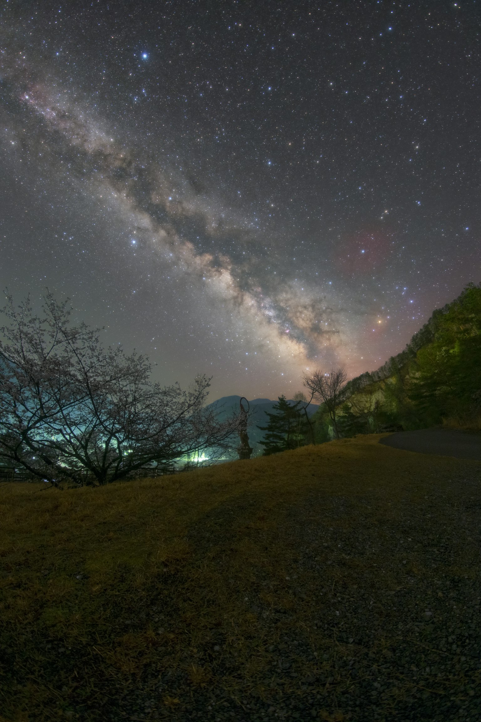 Paysage sous un ciel étoilé avec la Voie lactée et des montagnes