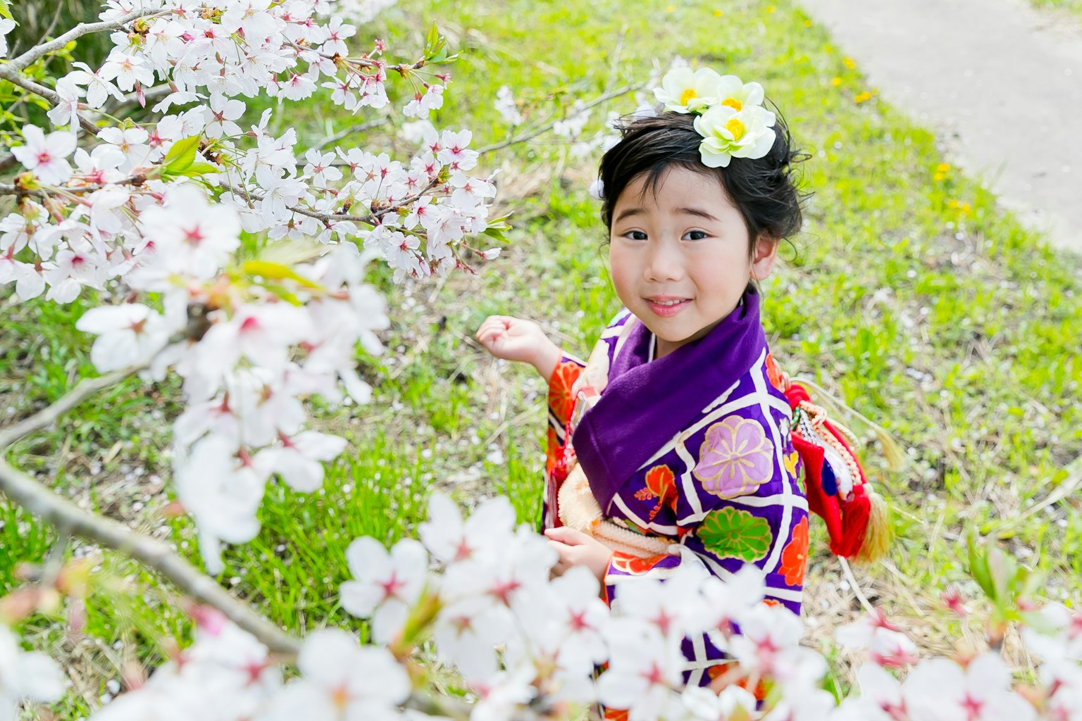 A girl smiling among cherry blossoms wearing a colorful kimono