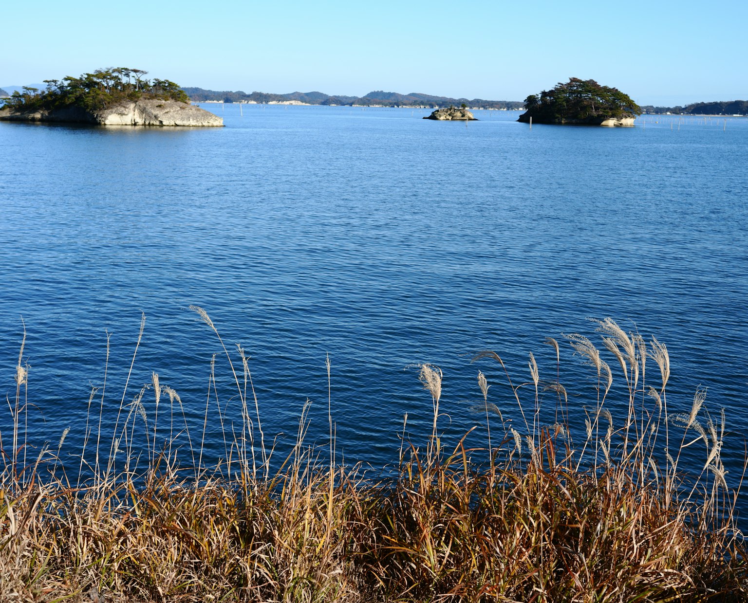 藍色水域和小島的風景，草地岸邊