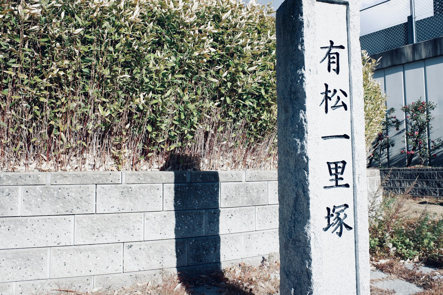 photo-QFMNAV5t5Wnsqc9XAsDq-image