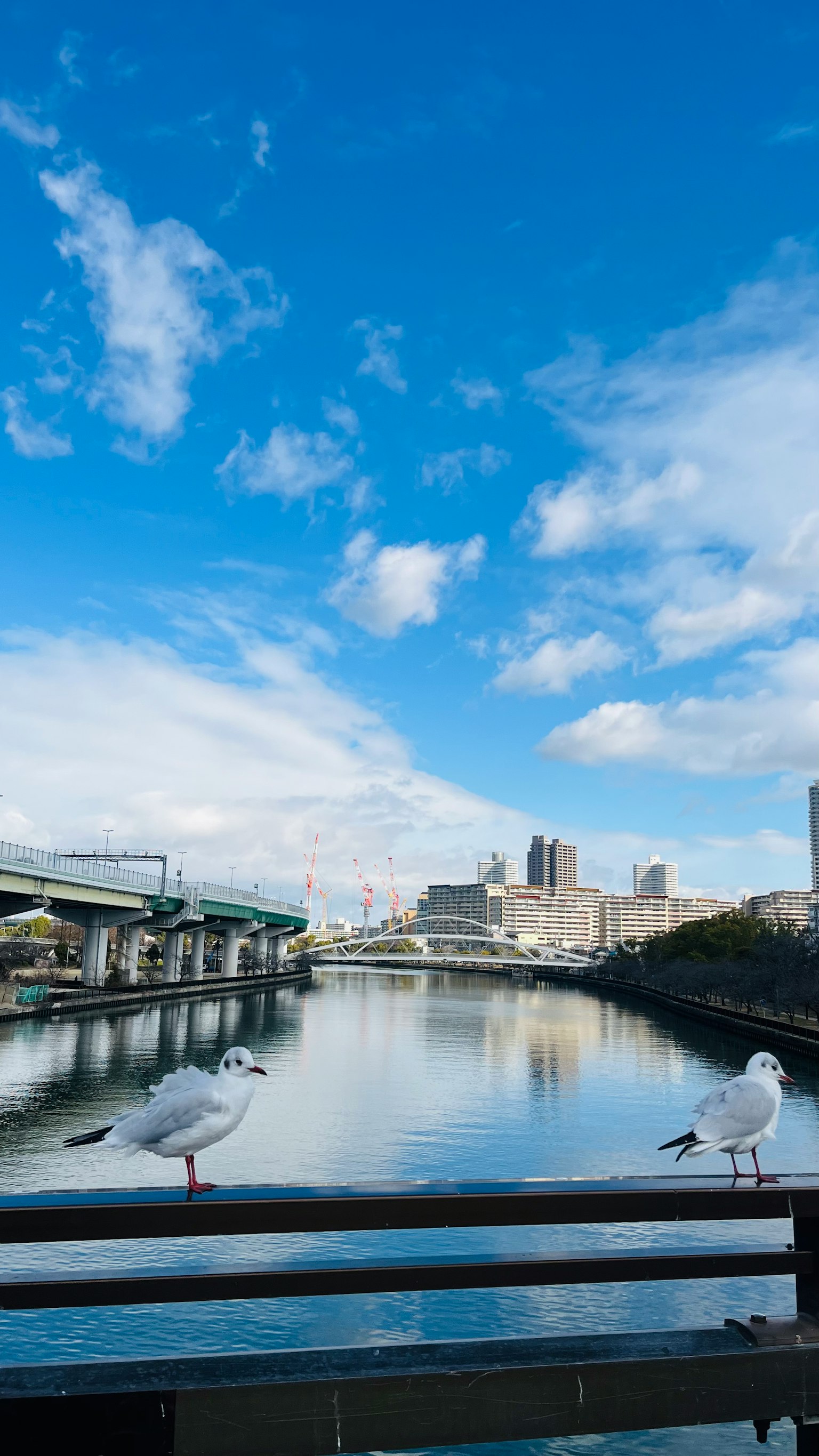 Vue de la rivière avec ciel bleu nuages et bâtiments