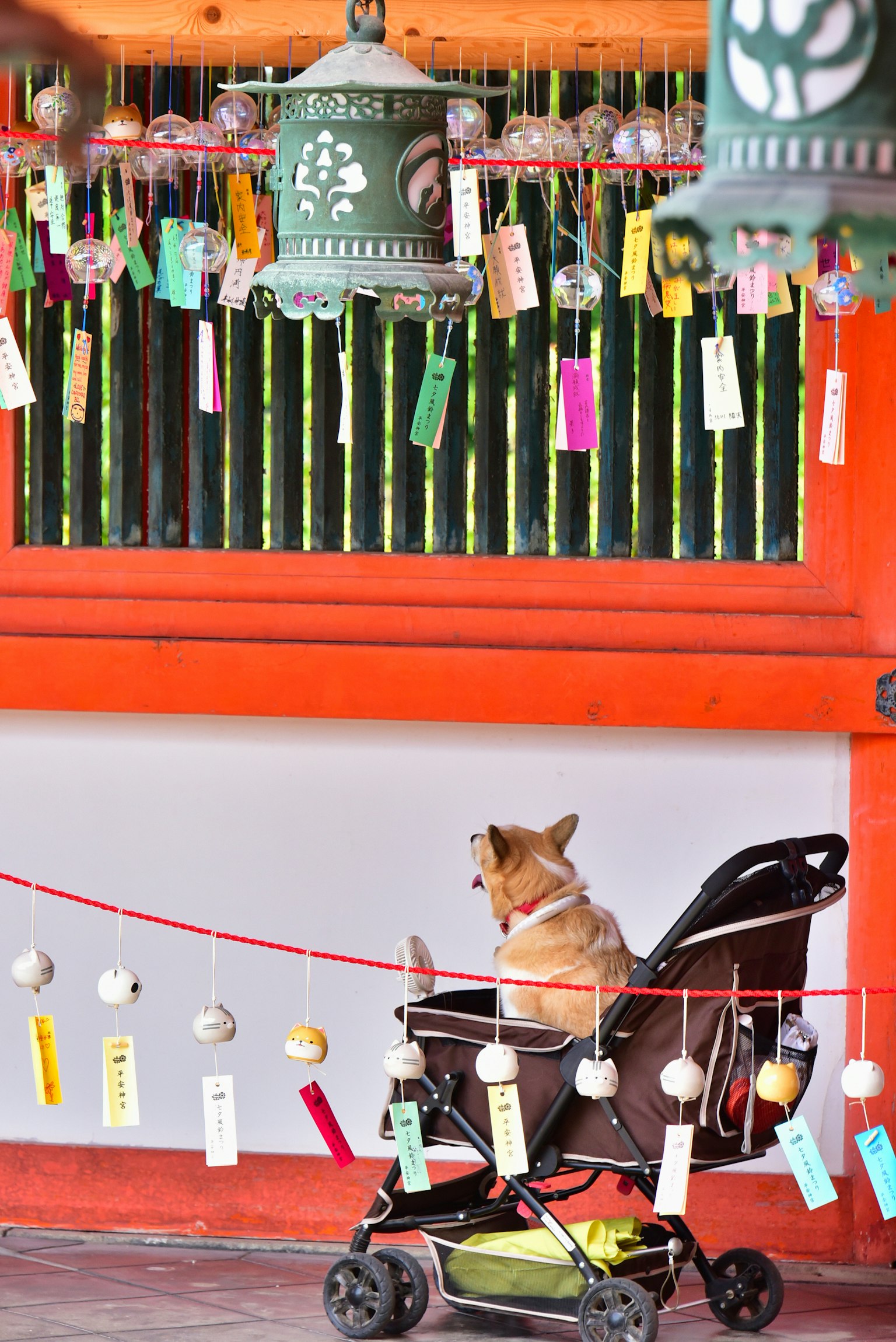 สุนัขนั่งอยู่ในรถเข็นที่ศาลเจ้ามีริบบิ้นสีสันสดใสแขวนอยู่ด้านหลัง