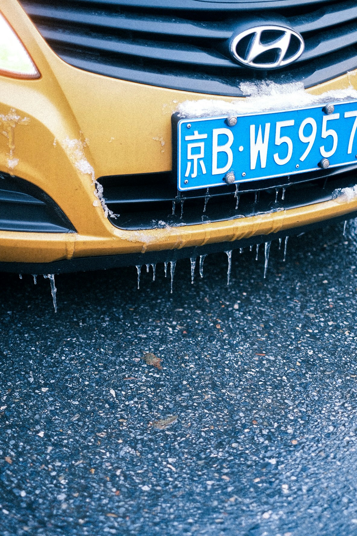 路上の水たまりに面した車の前部とナンバープレート「京B・W5957」