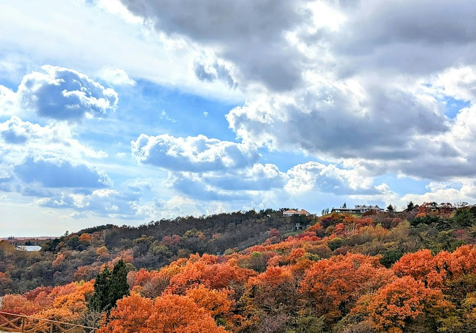 Magnifique paysage d'automne avec un feuillage rouge et orange vif et un ciel bleu