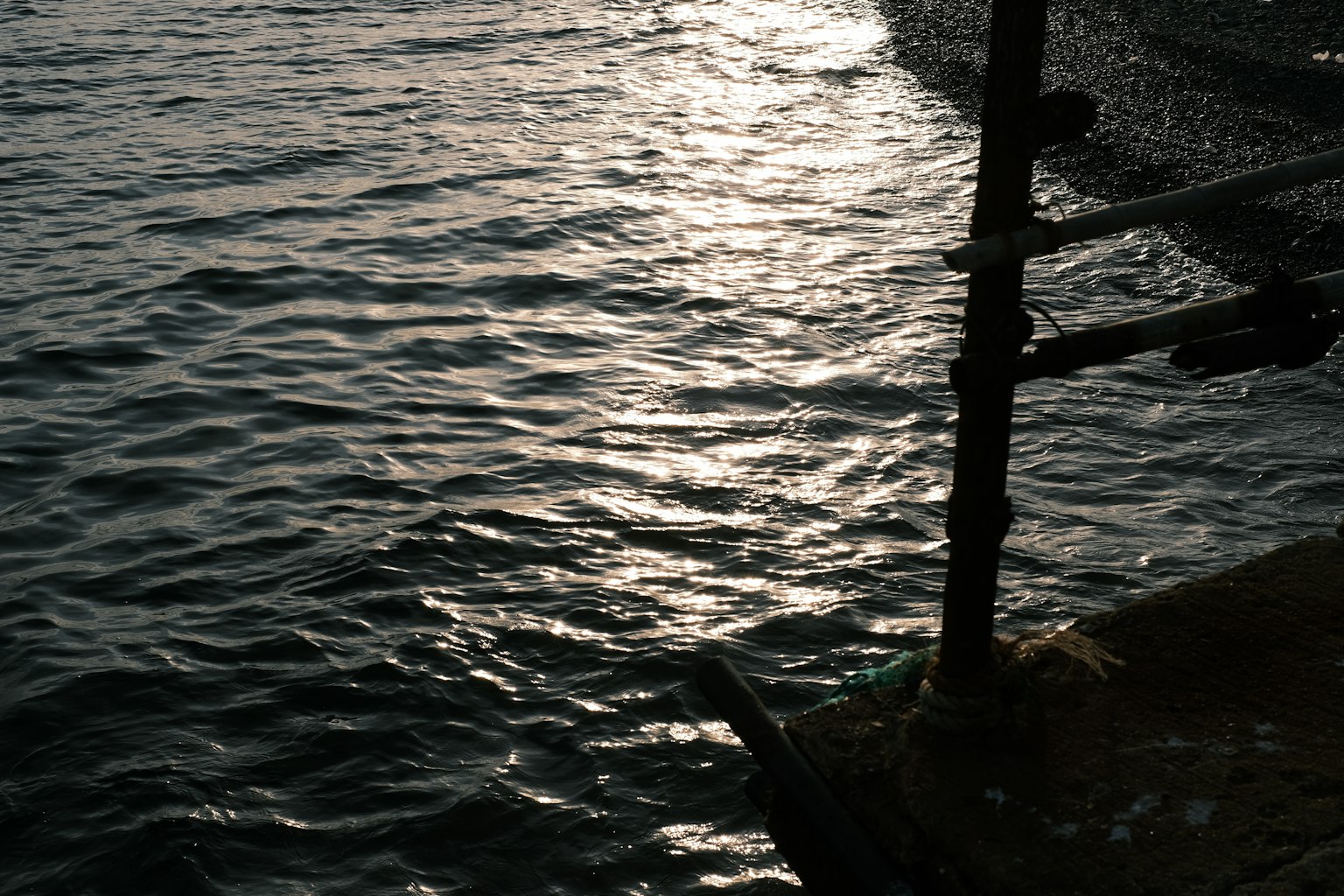 photo-QGZ5uAJkHjwjtZlnzvBX-image