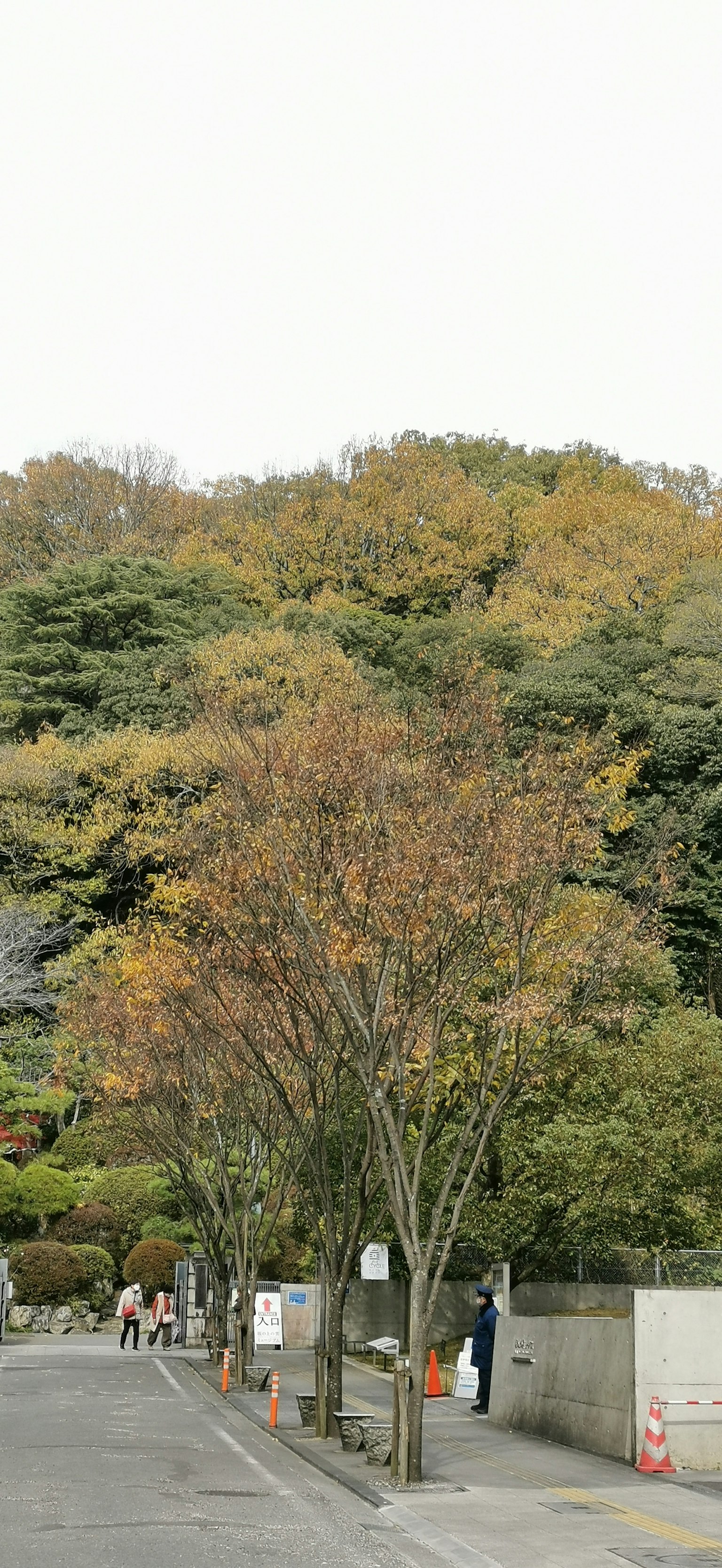Ruhige Straßenszene mit Bäumen, die Herbstfarben zeigen